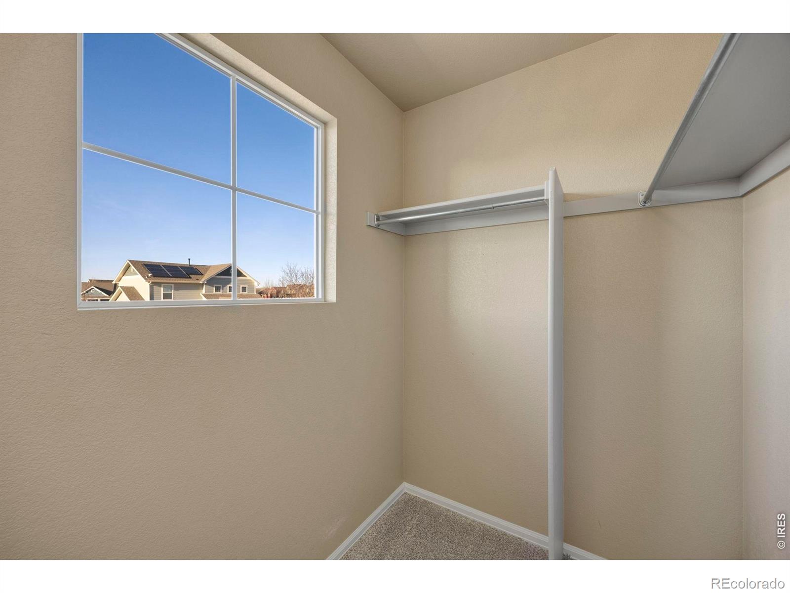 MLS Image #37 for 1555  benfleet court,windsor, Colorado