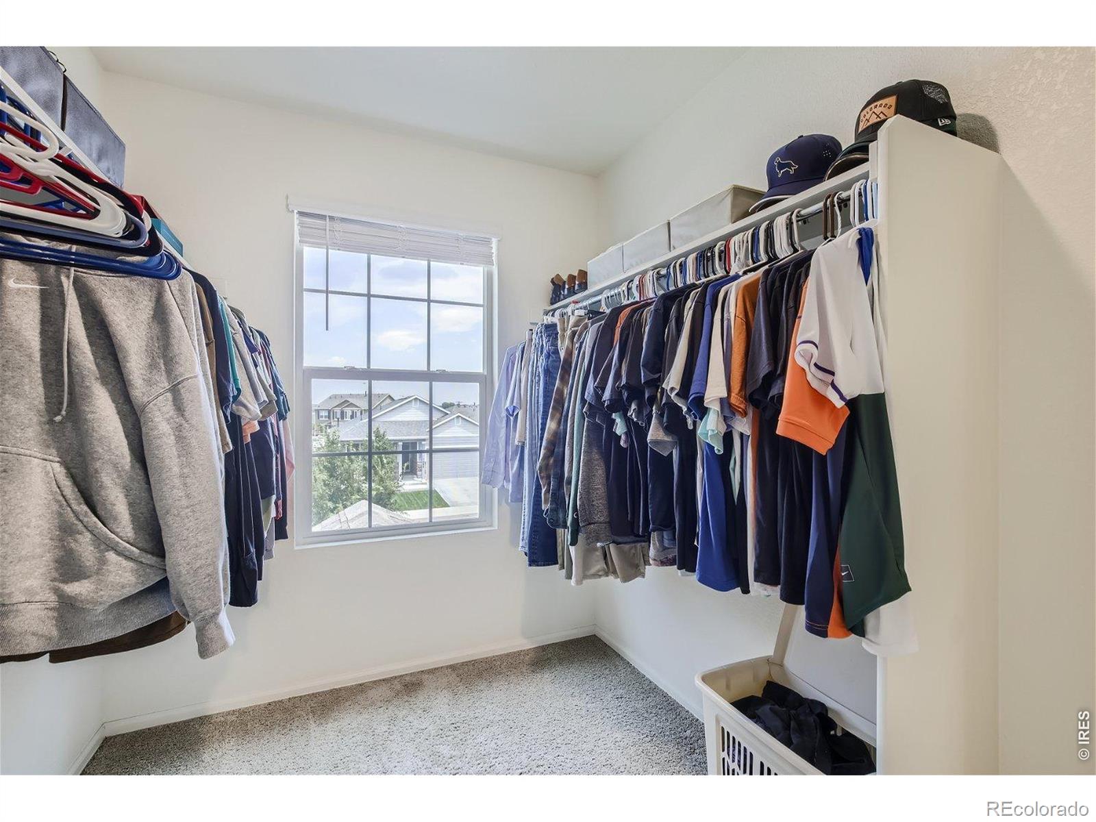 MLS Image #16 for 1685  highfield drive,windsor, Colorado