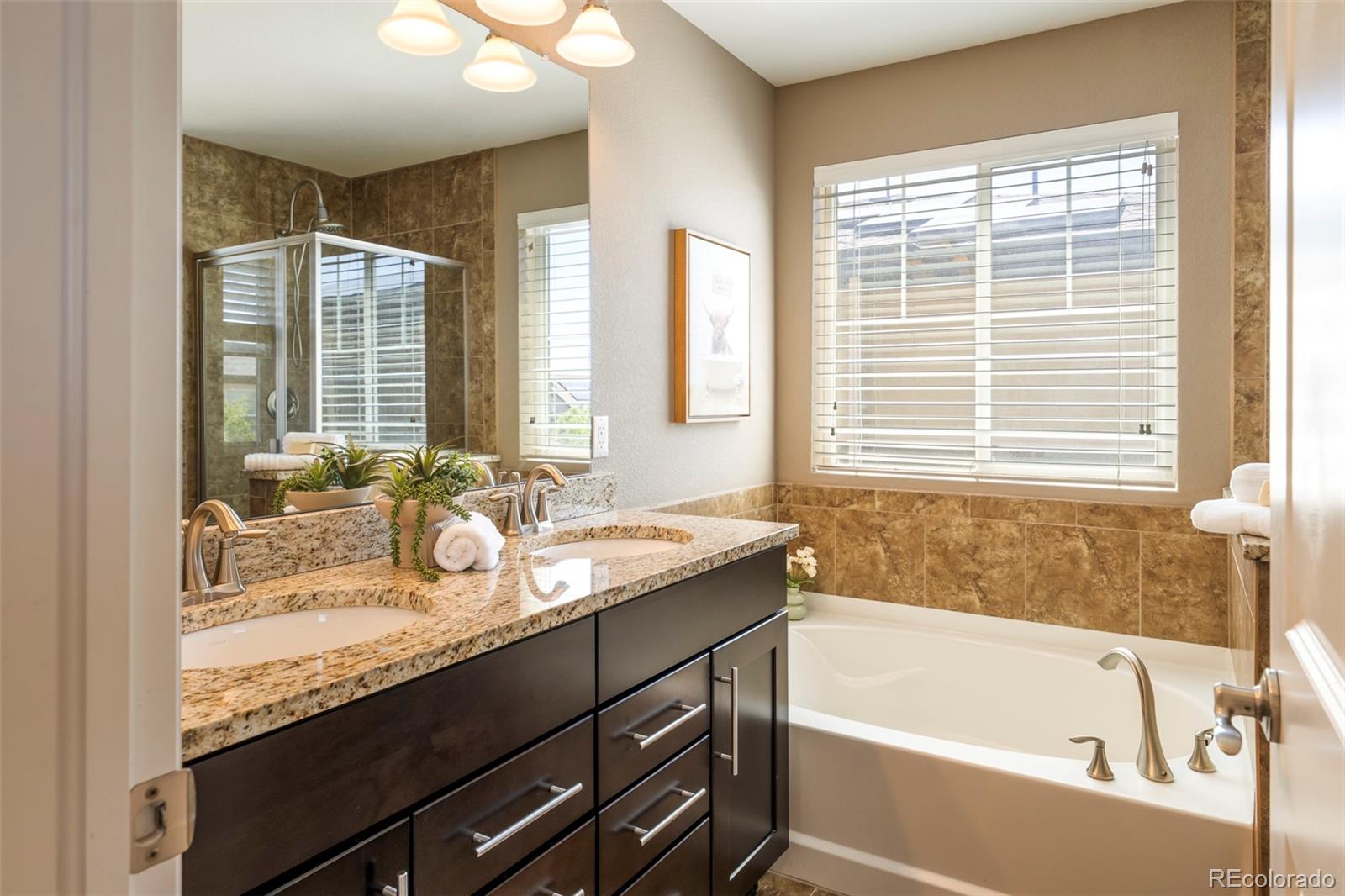 MLS Image #19 for 11045 e 28th place,denver, Colorado