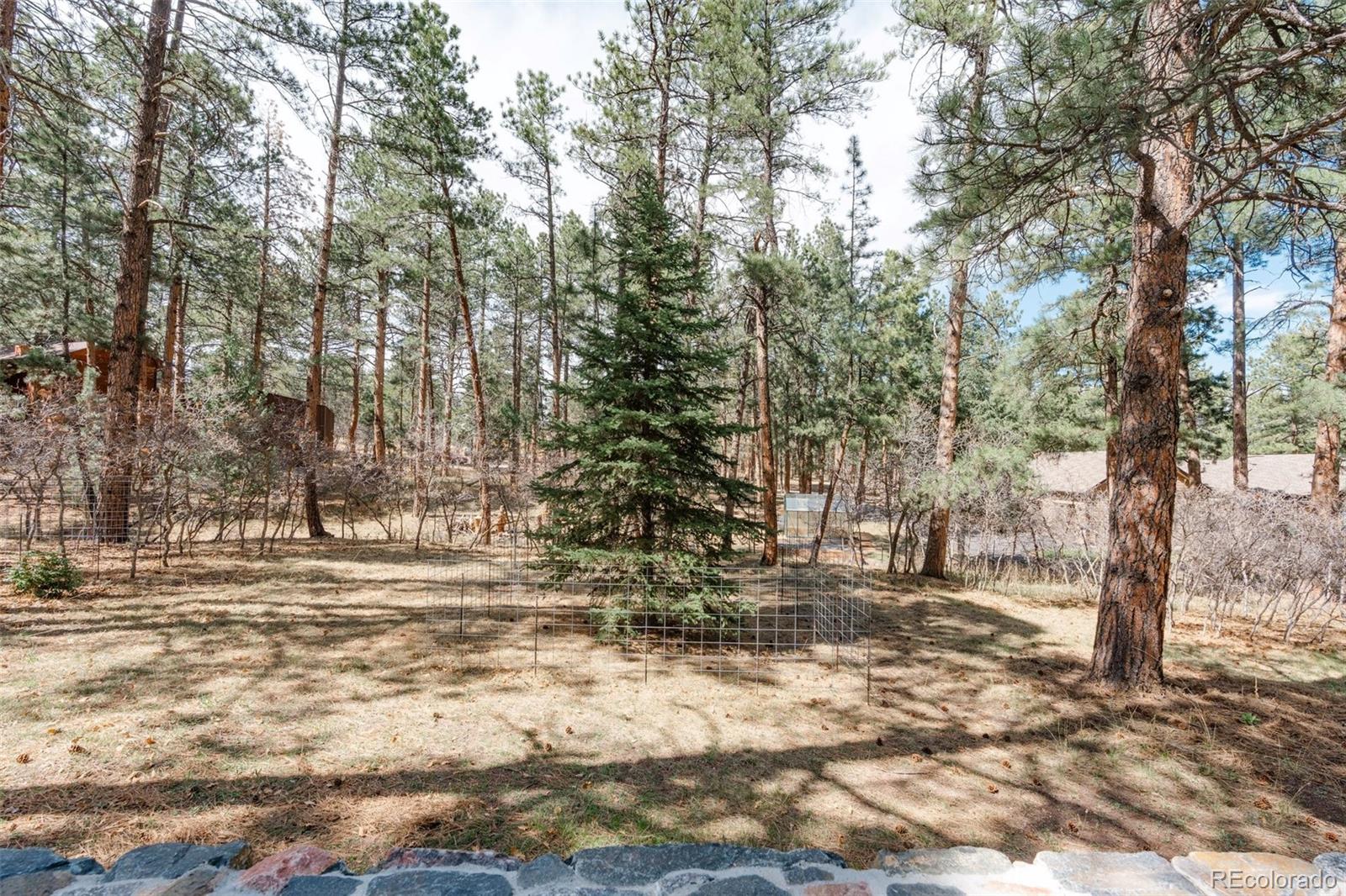 MLS Image #41 for 7045  perry park boulevard,larkspur, Colorado
