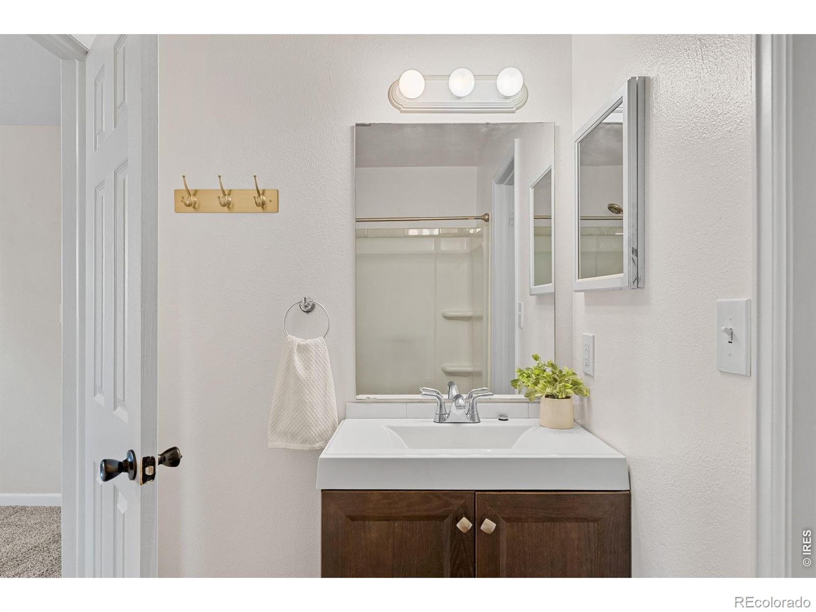 MLS Image #25 for 4621 s lowell boulevard ,denver, Colorado