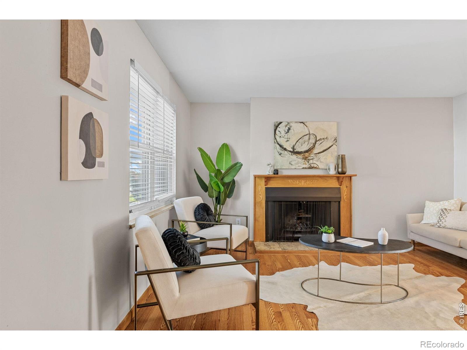 MLS Image #5 for 4621 s lowell boulevard ,denver, Colorado