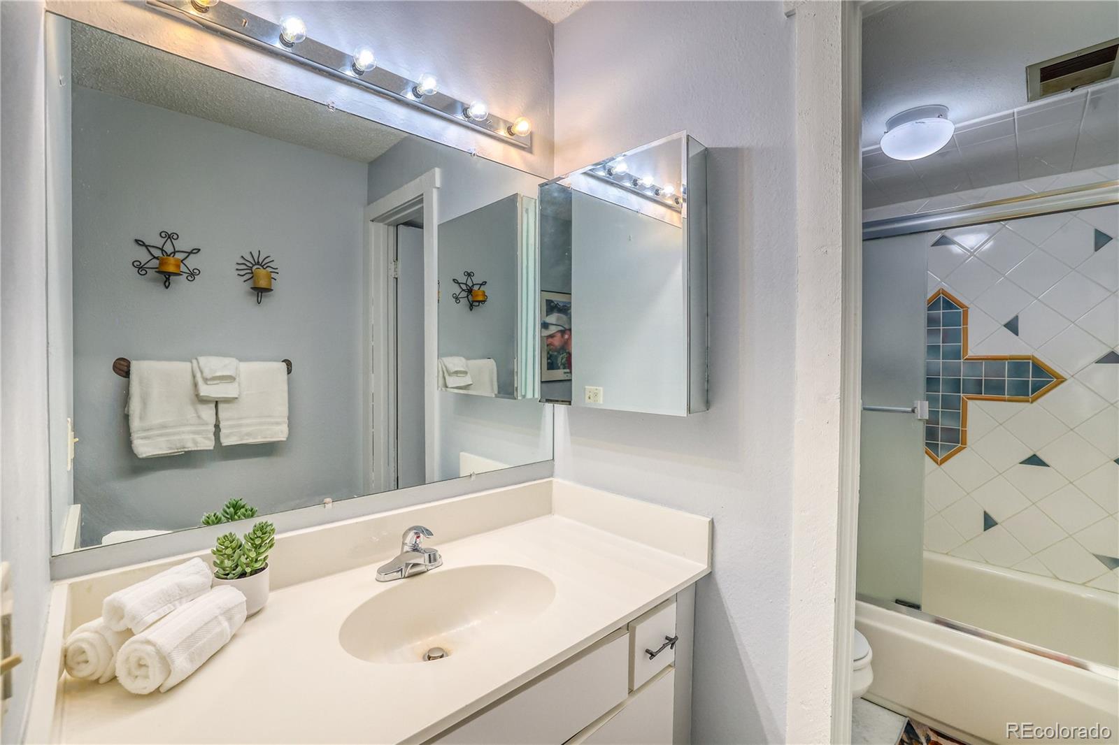 MLS Image #18 for 2510  ryan gulch road,silverthorne, Colorado