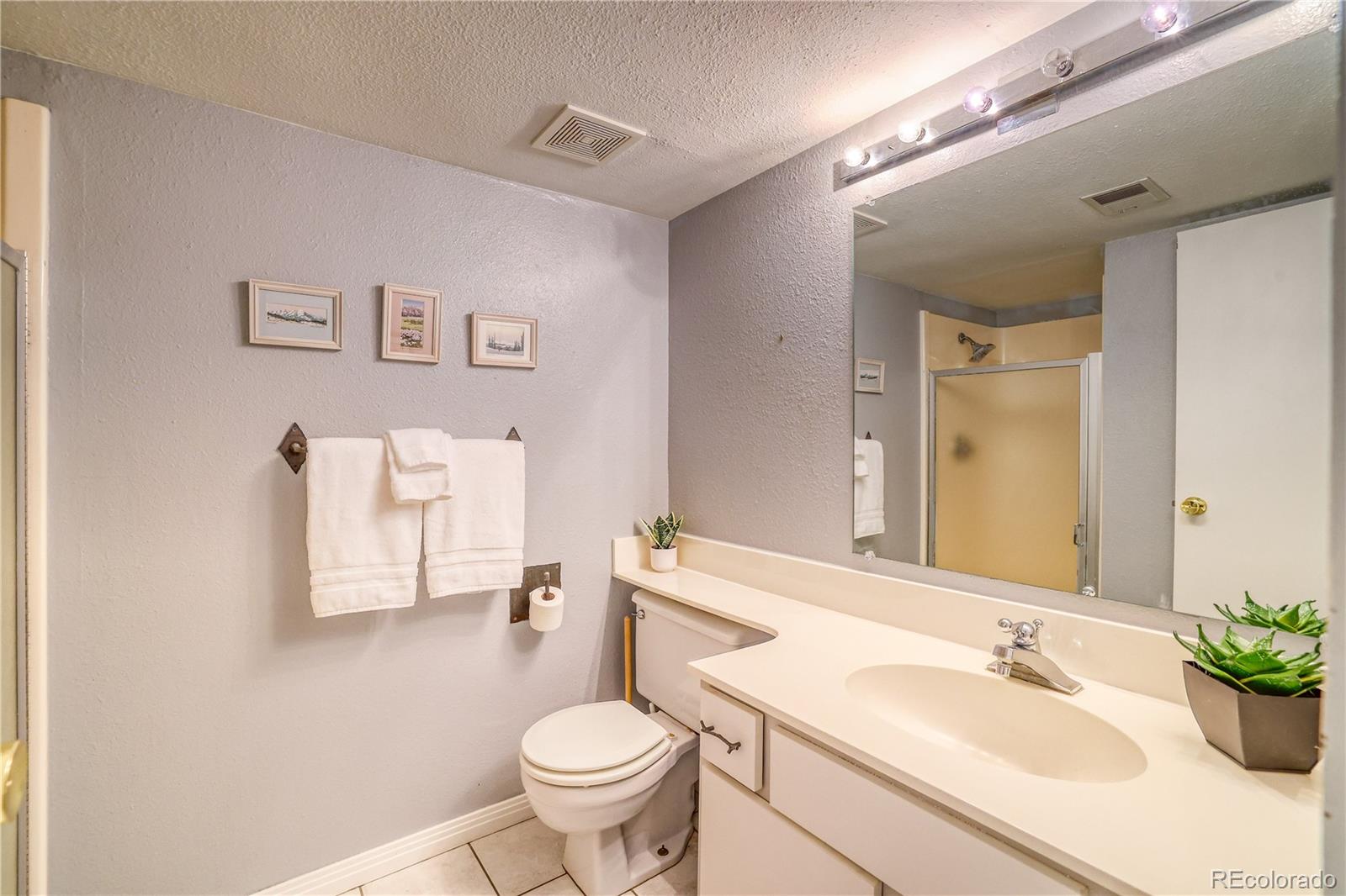 MLS Image #21 for 2510  ryan gulch road,silverthorne, Colorado