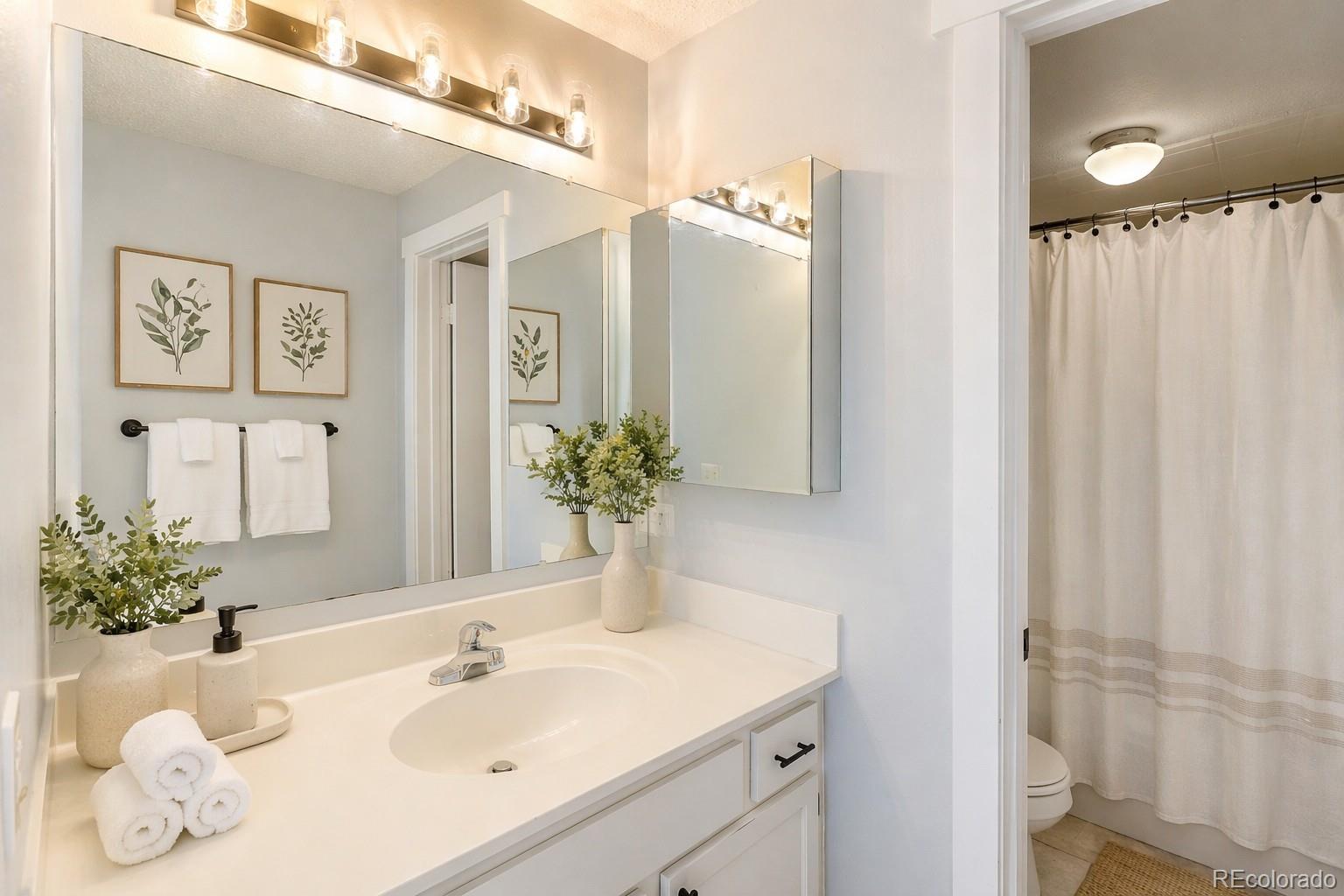 MLS Image #22 for 2510  ryan gulch road,silverthorne, Colorado