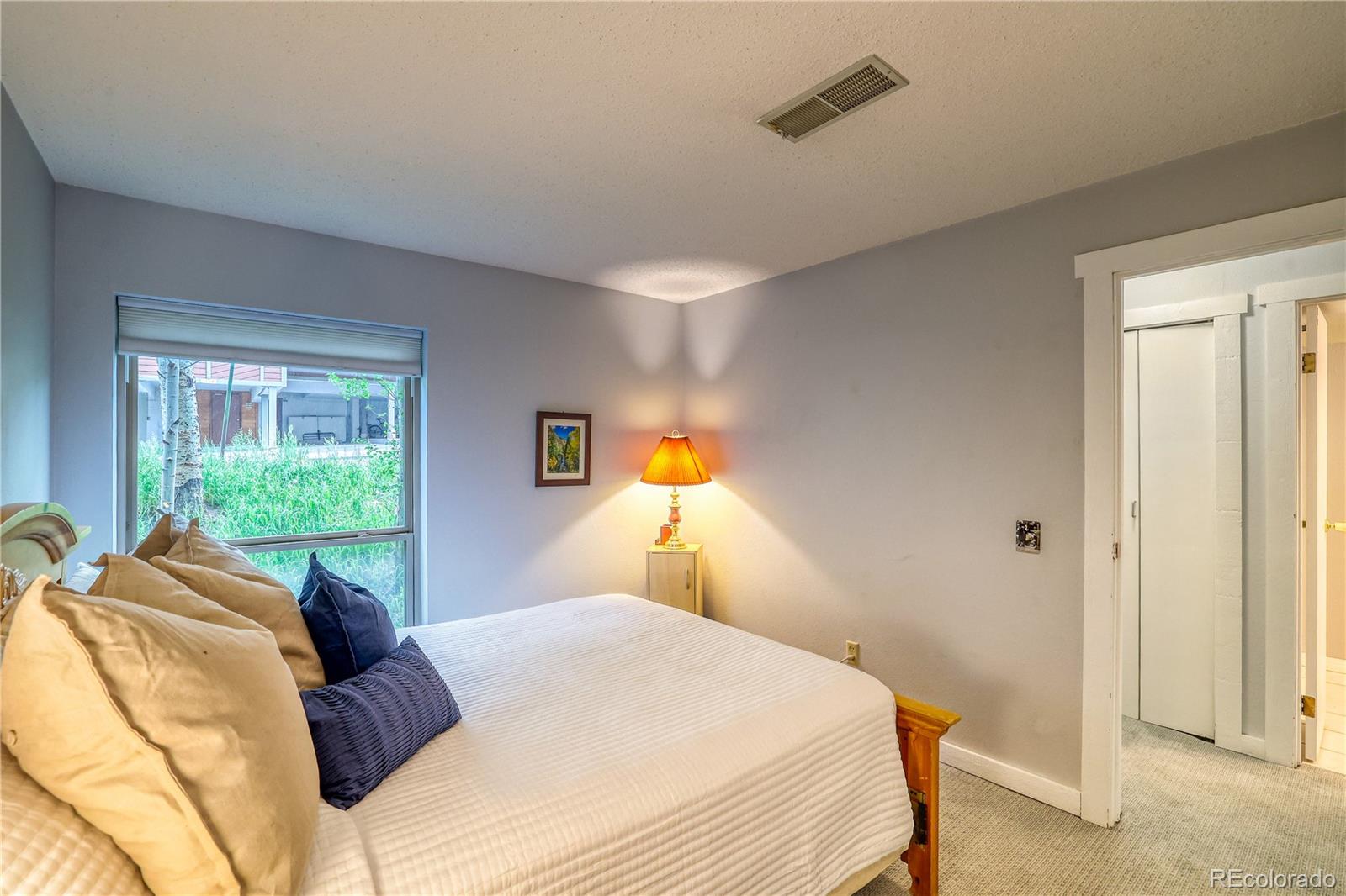 MLS Image #23 for 2510  ryan gulch road,silverthorne, Colorado