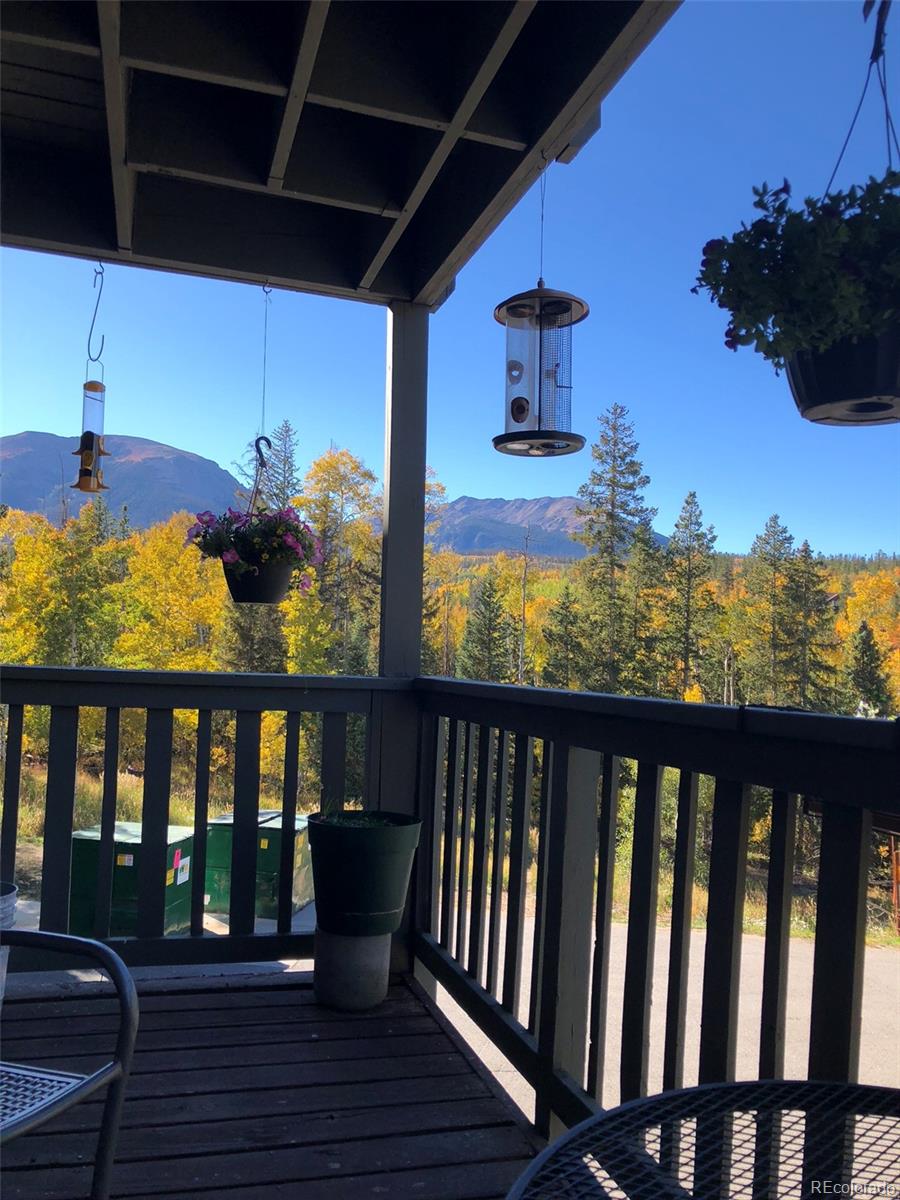 MLS Image #29 for 2510  ryan gulch road,silverthorne, Colorado
