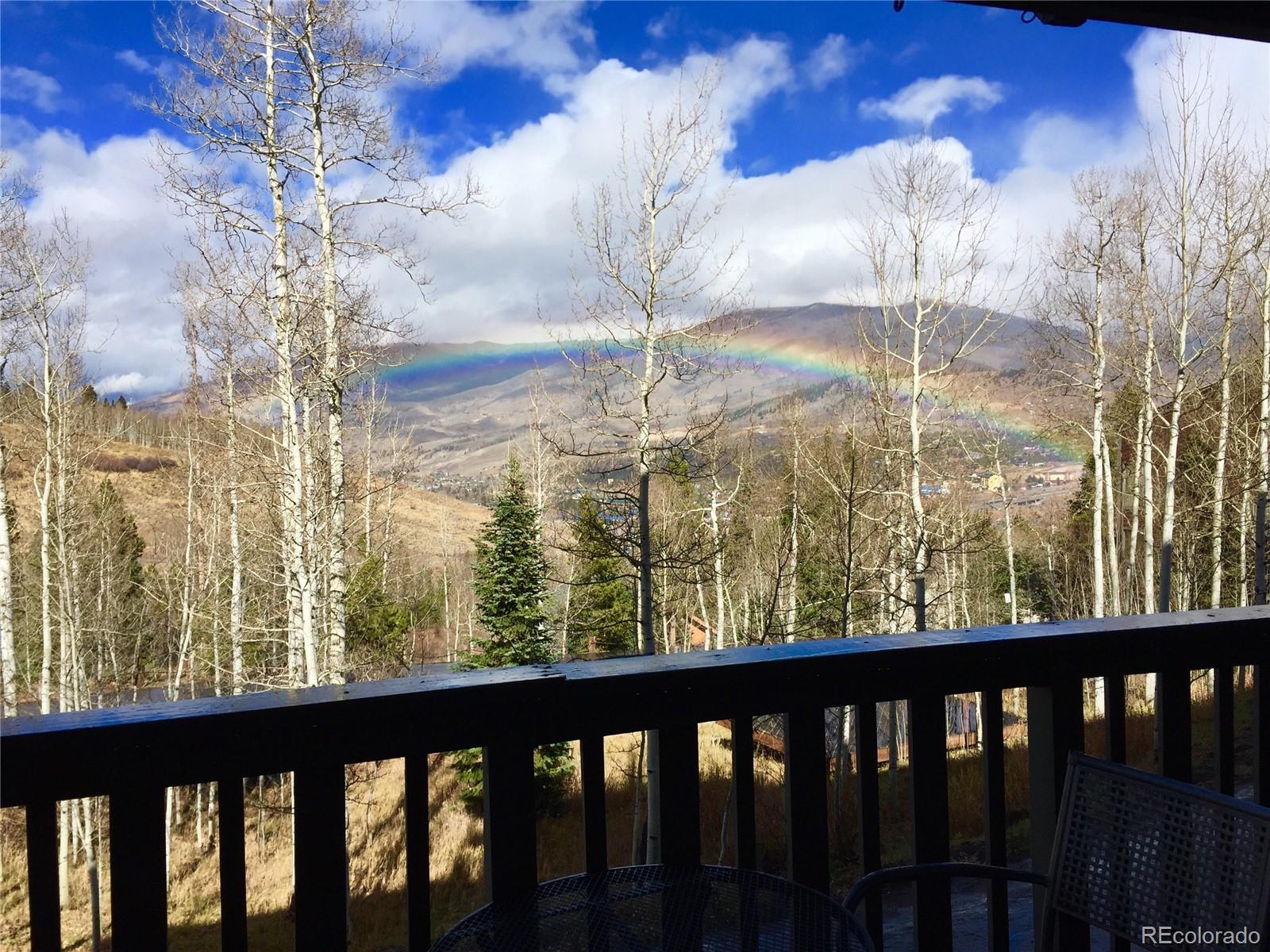 MLS Image #30 for 2510  ryan gulch road,silverthorne, Colorado