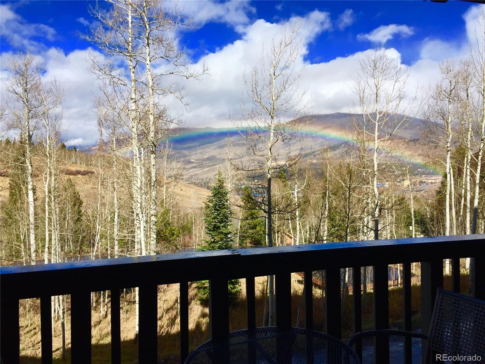 MLS Image #36 for 2510  ryan gulch road,silverthorne, Colorado