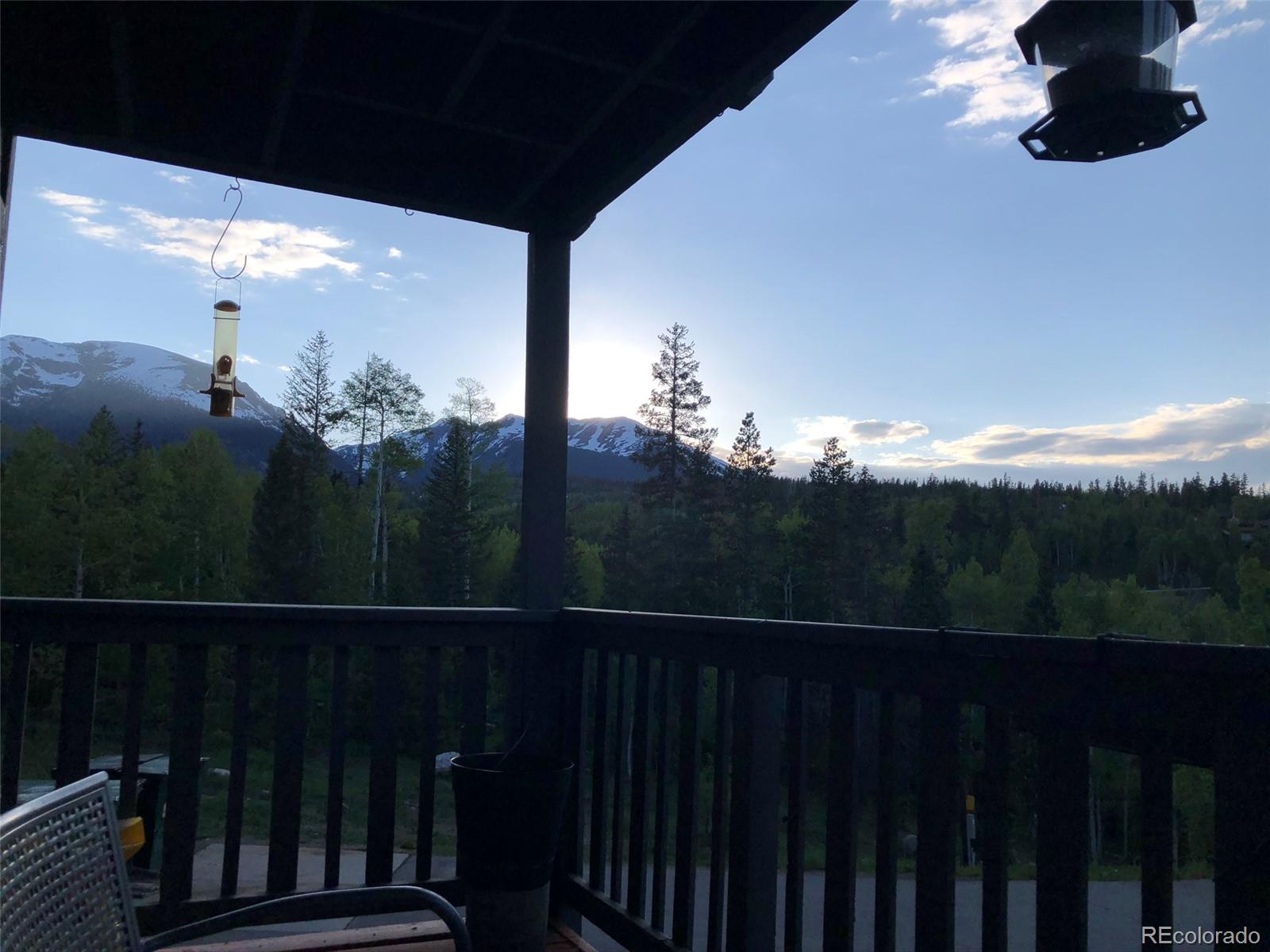 MLS Image #39 for 2510  ryan gulch road,silverthorne, Colorado