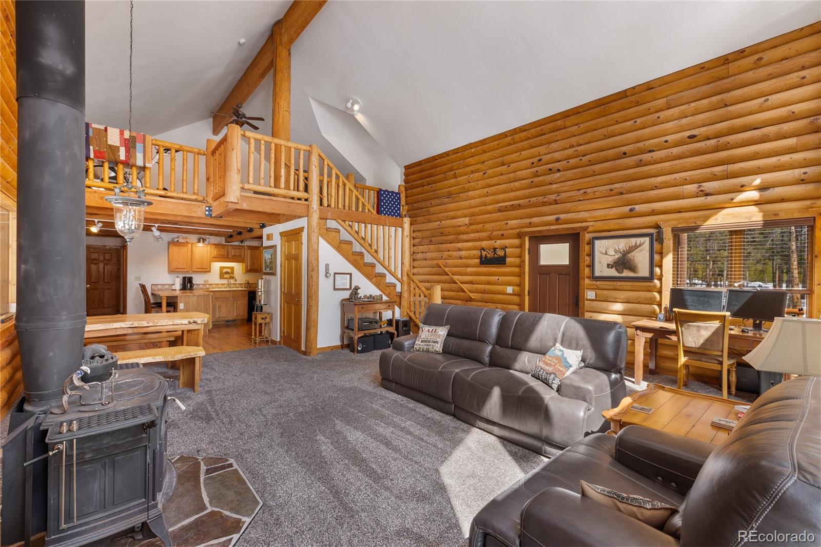 MLS Image #10 for 353  wood rose way,leadville, Colorado