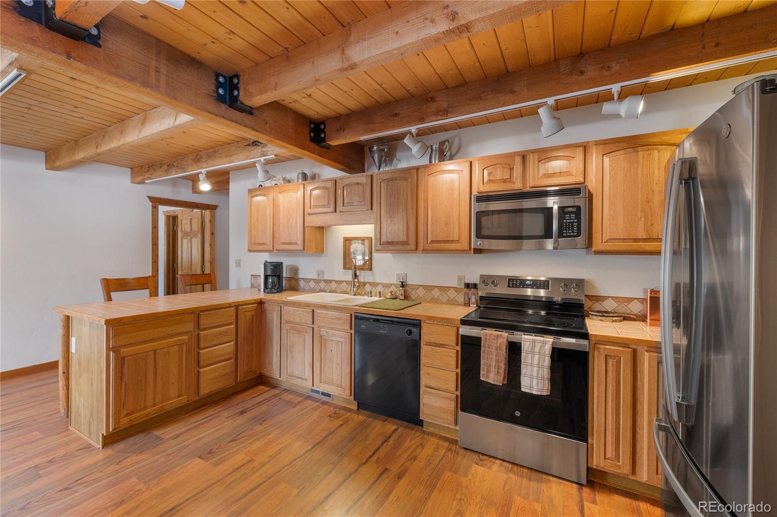 MLS Image #11 for 353  wood rose way,leadville, Colorado