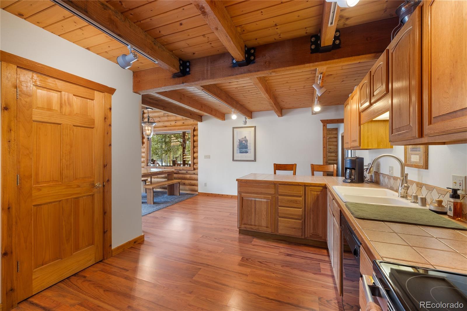 MLS Image #12 for 353  wood rose way,leadville, Colorado