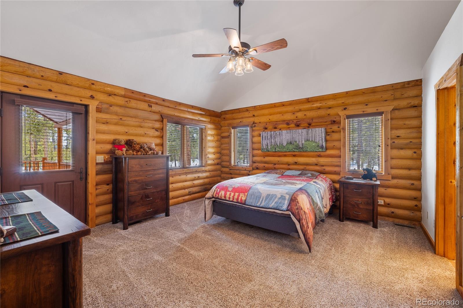 MLS Image #13 for 353  wood rose way,leadville, Colorado