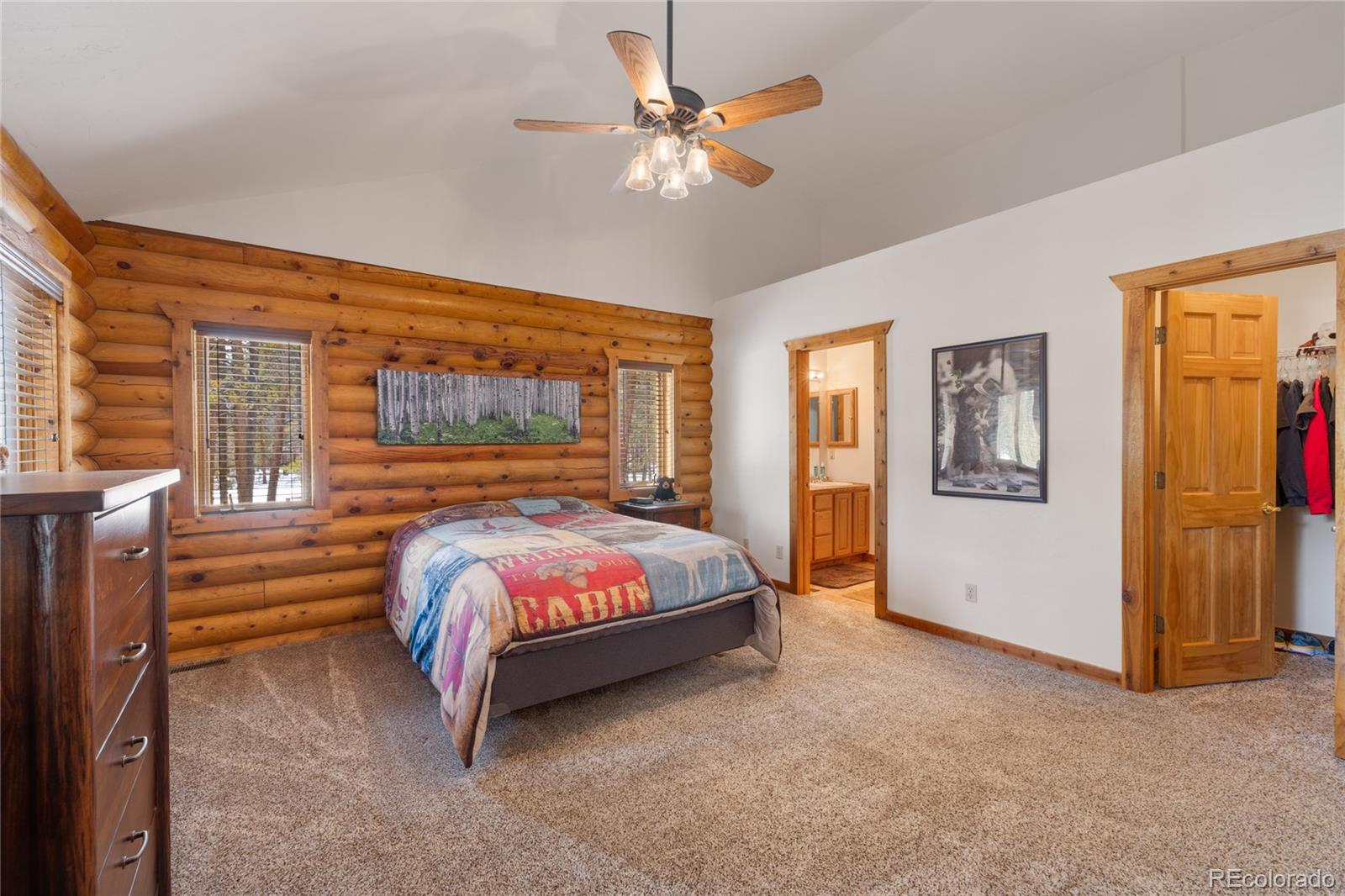 MLS Image #14 for 353  wood rose way,leadville, Colorado