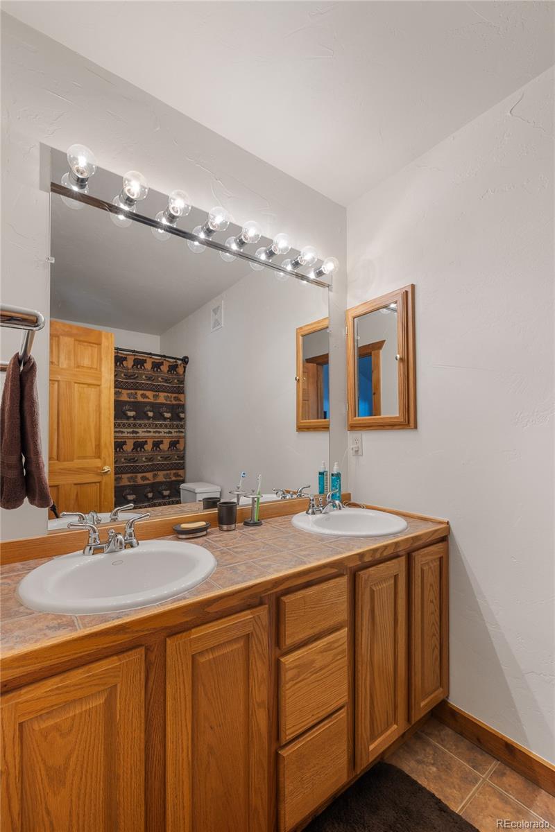 MLS Image #15 for 353  wood rose way,leadville, Colorado