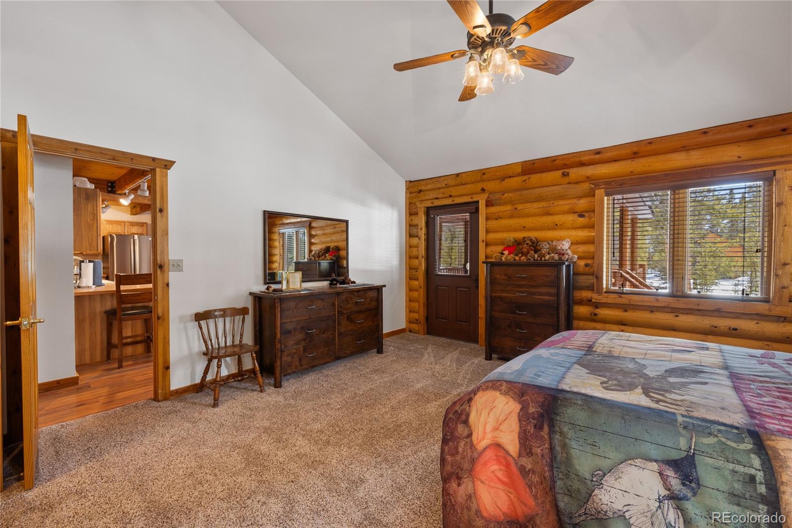 MLS Image #16 for 353  wood rose way,leadville, Colorado