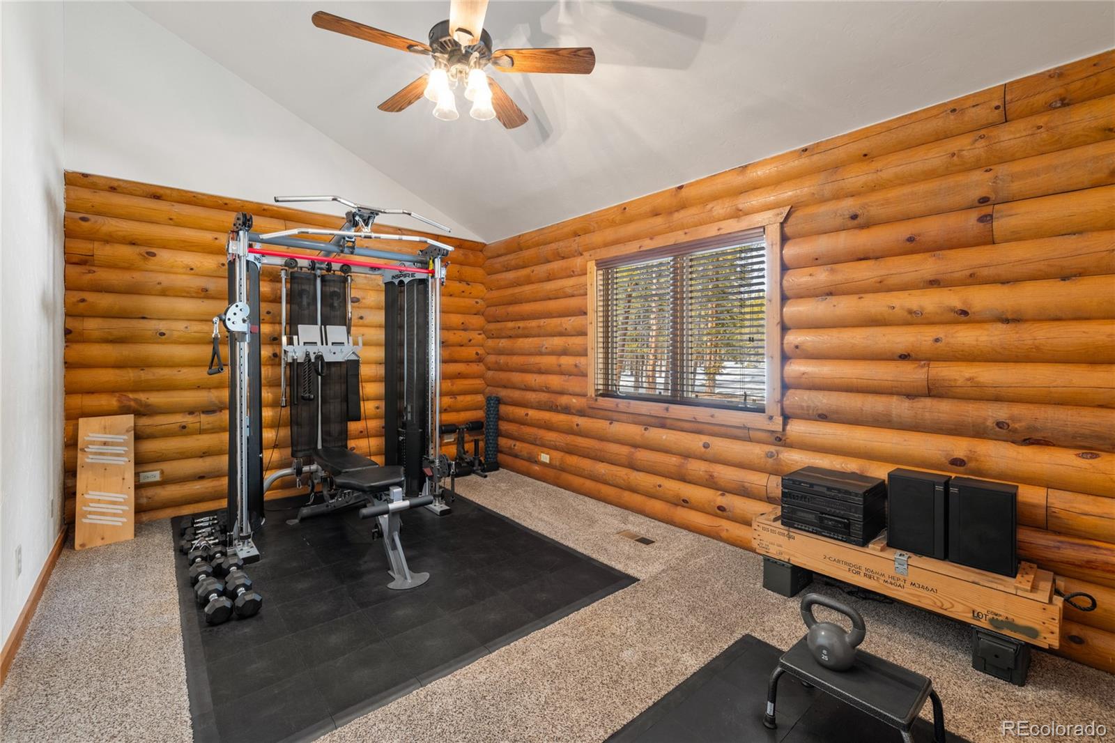 MLS Image #17 for 353  wood rose way,leadville, Colorado