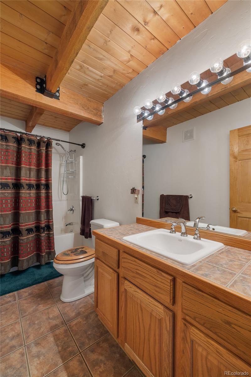 MLS Image #18 for 353  wood rose way,leadville, Colorado