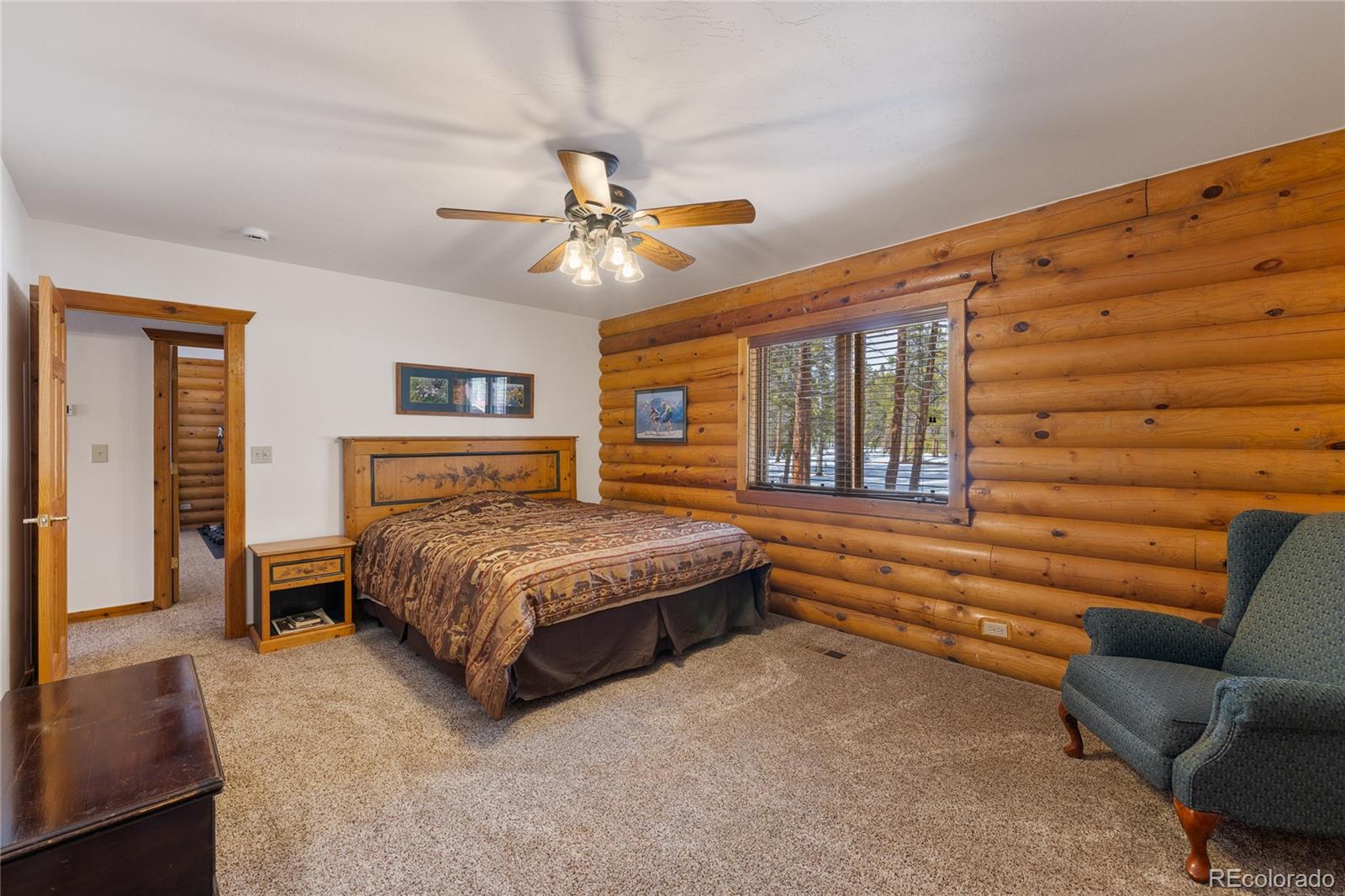 MLS Image #19 for 353  wood rose way,leadville, Colorado