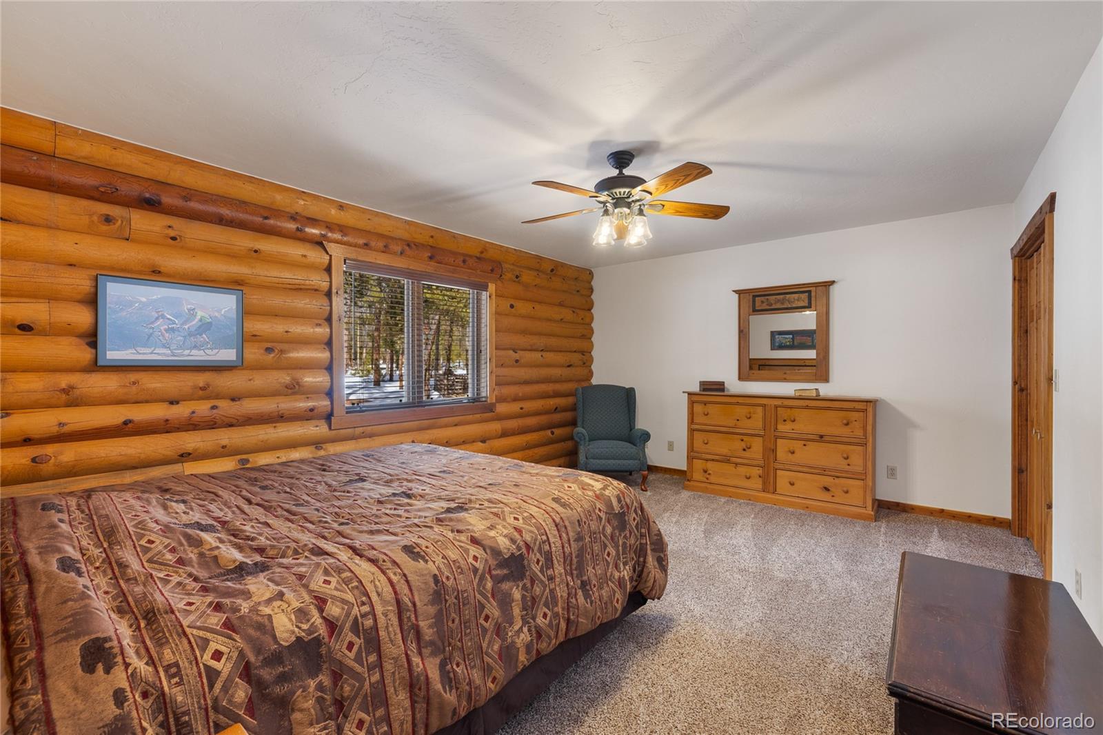 MLS Image #20 for 353  wood rose way,leadville, Colorado