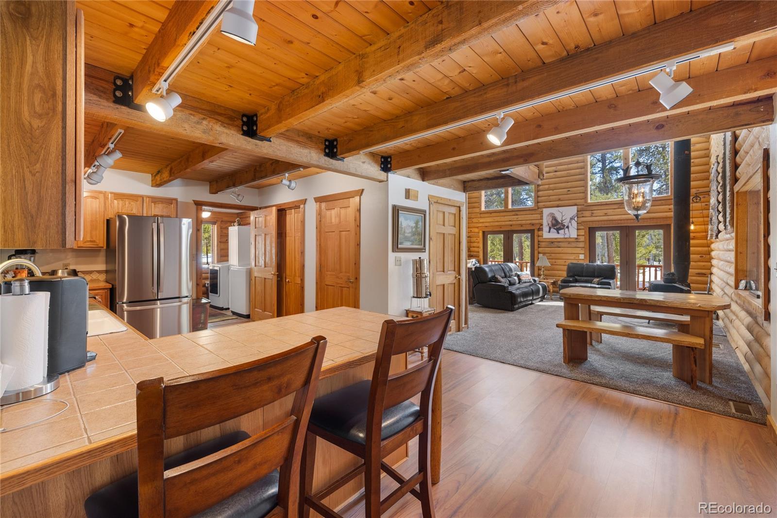 MLS Image #21 for 353  wood rose way,leadville, Colorado