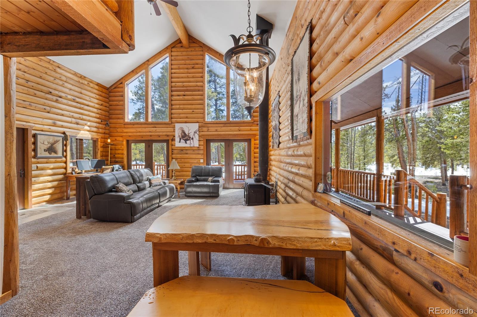 MLS Image #23 for 353  wood rose way,leadville, Colorado