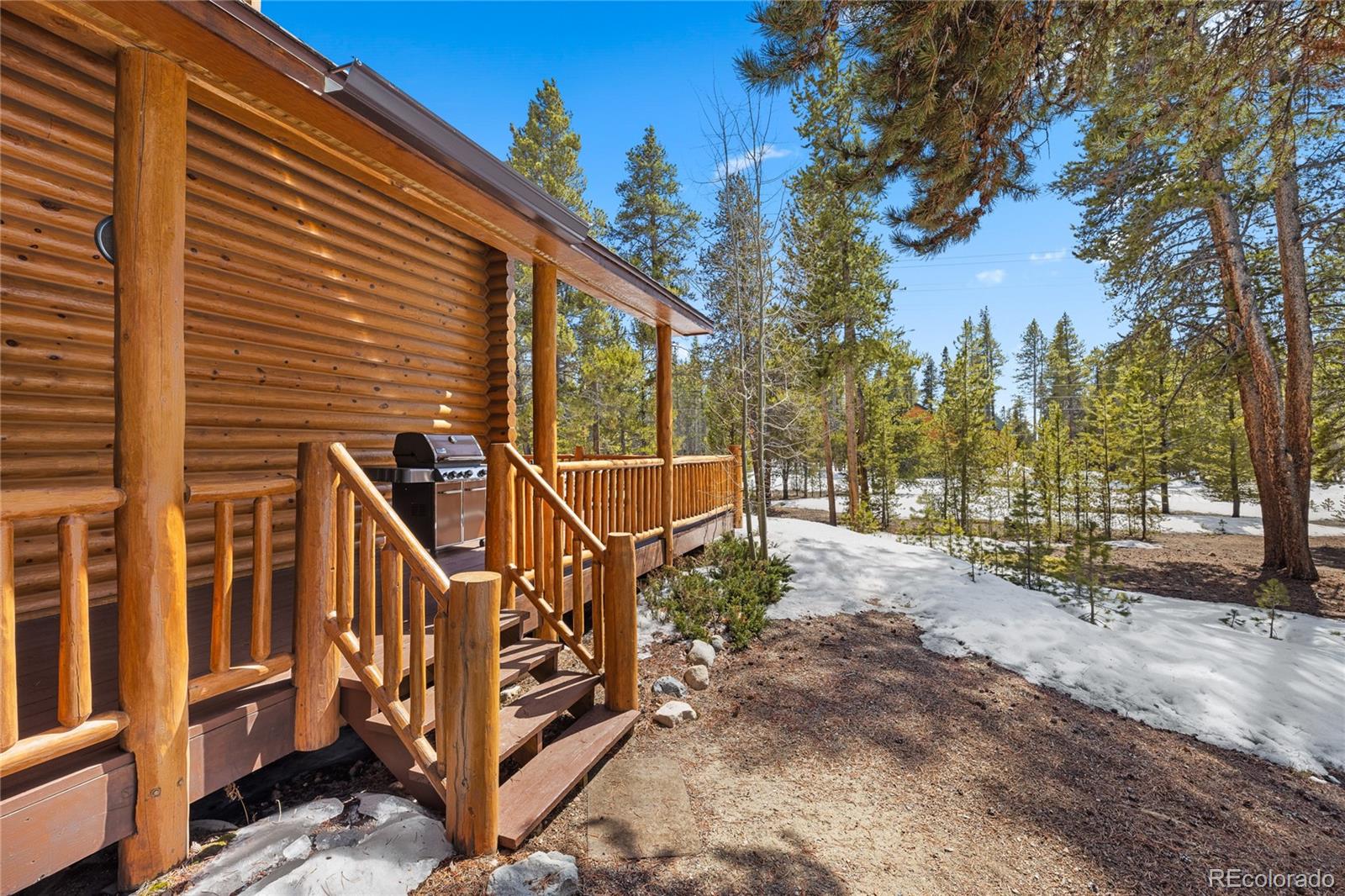 MLS Image #31 for 353  wood rose way,leadville, Colorado