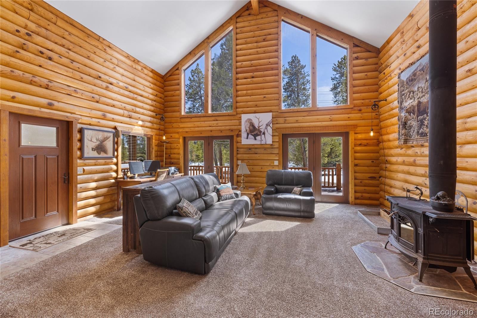 MLS Image #4 for 353  wood rose way,leadville, Colorado