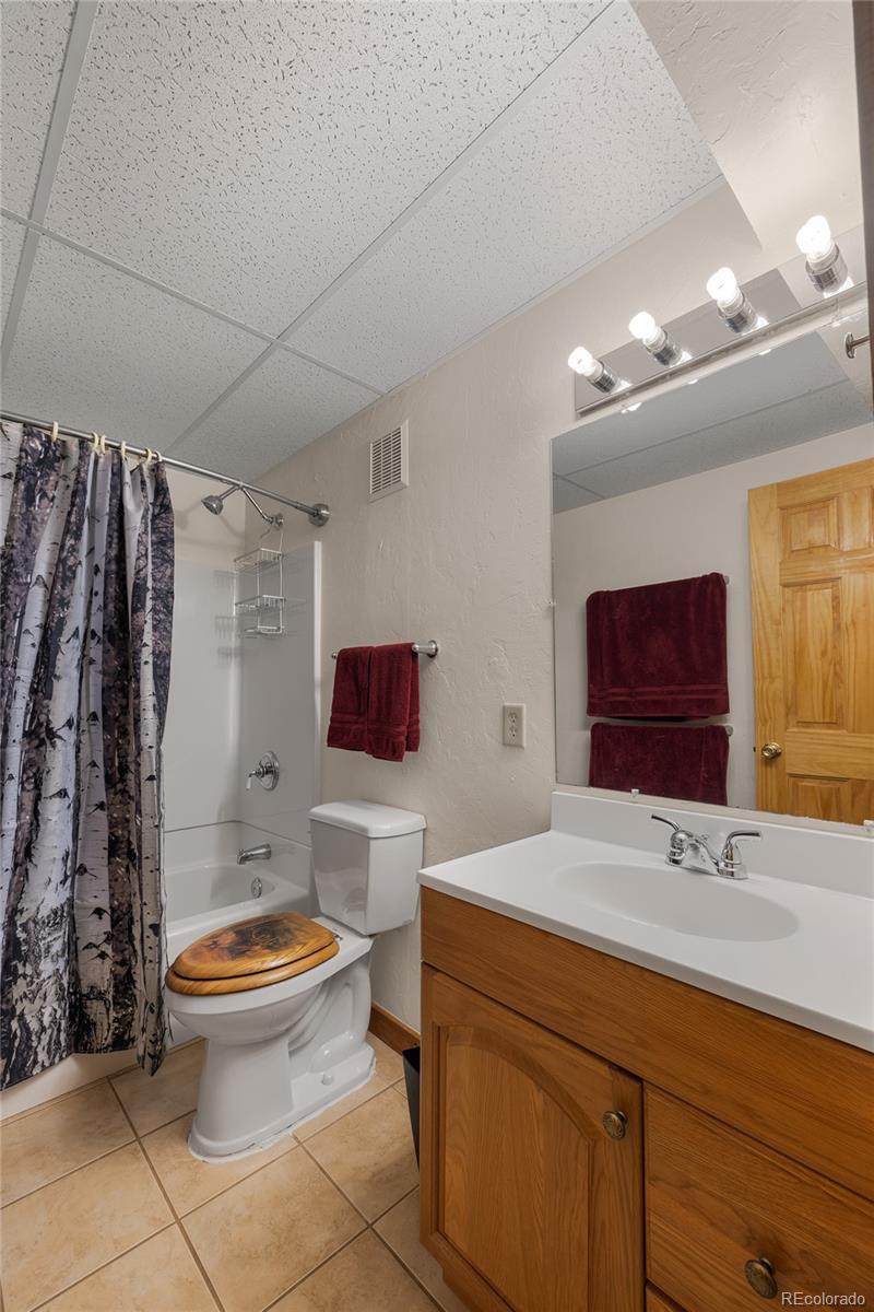 MLS Image #40 for 353  wood rose way,leadville, Colorado