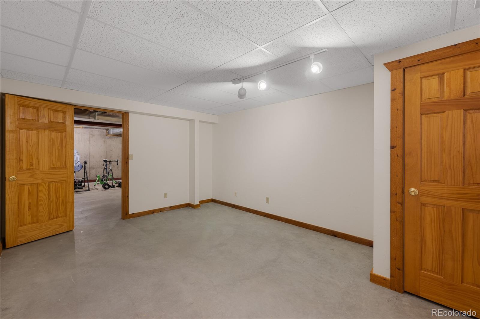 MLS Image #44 for 353  wood rose way,leadville, Colorado