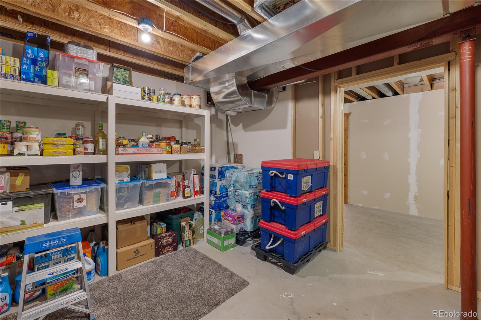 MLS Image #45 for 353  wood rose way,leadville, Colorado