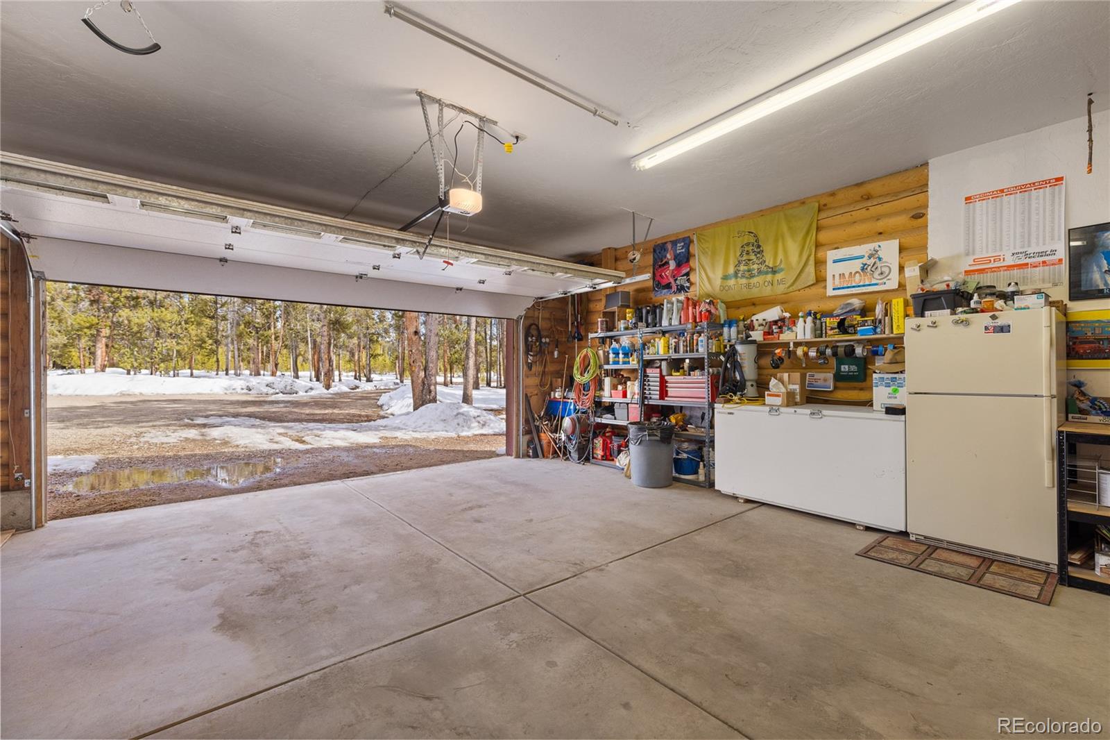 MLS Image #47 for 353  wood rose way,leadville, Colorado
