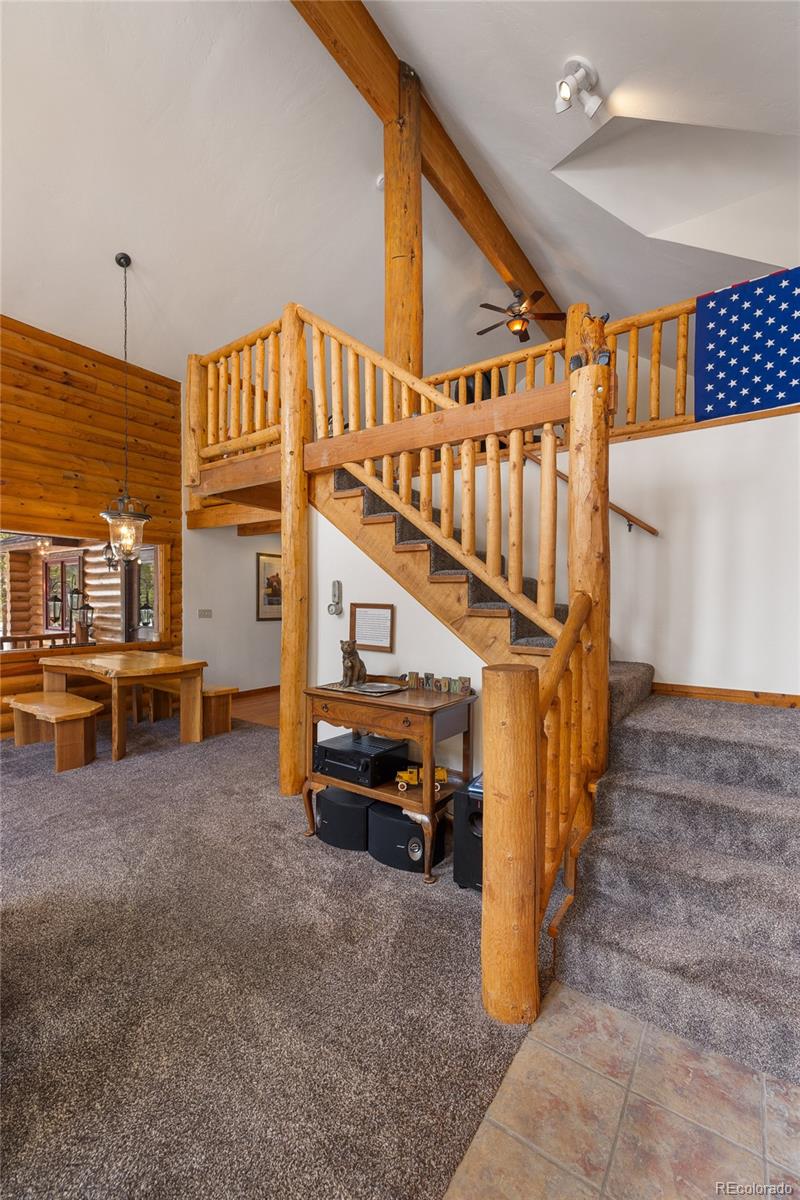 MLS Image #7 for 353  wood rose way,leadville, Colorado