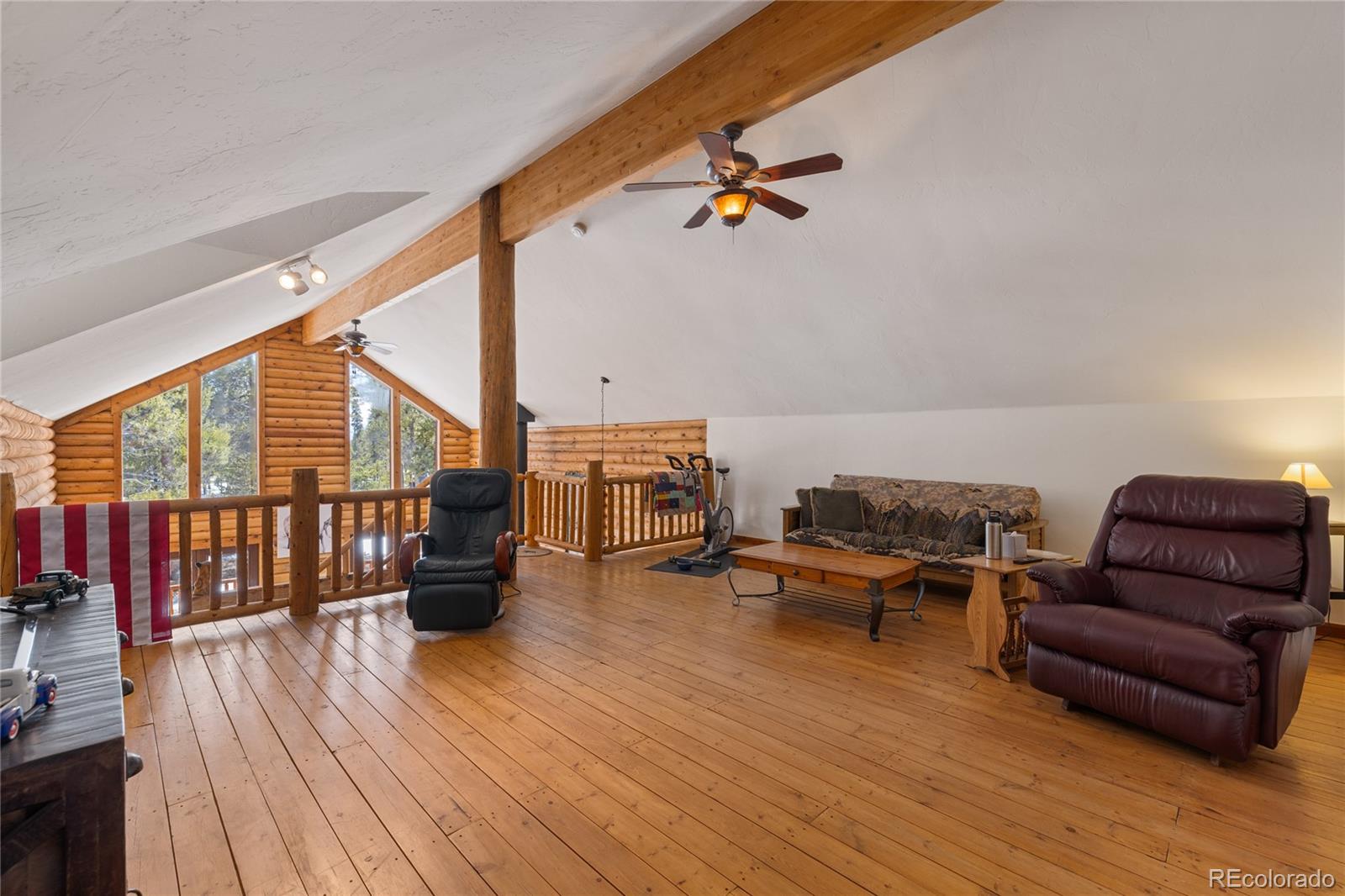 MLS Image #8 for 353  wood rose way,leadville, Colorado