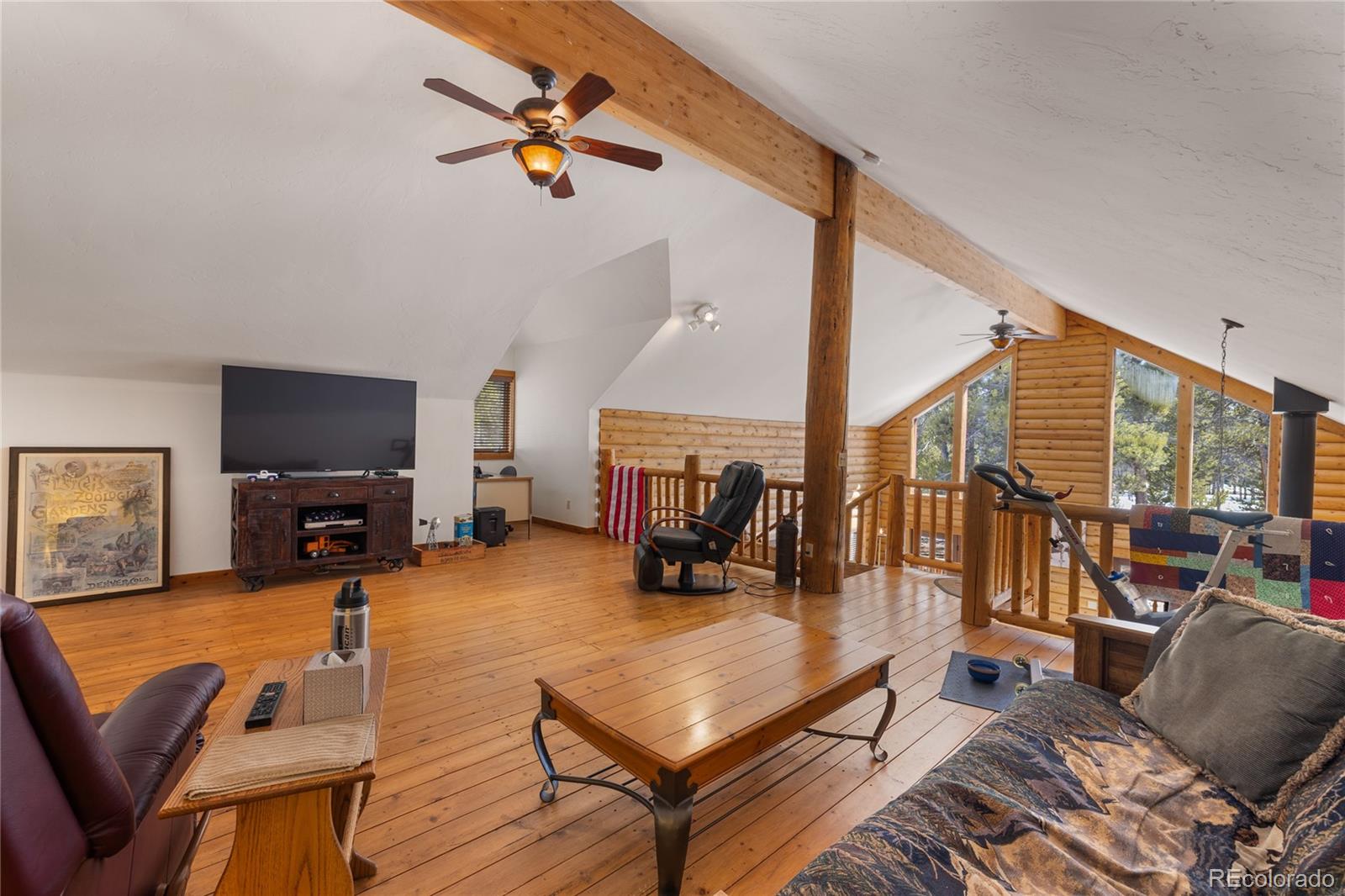 MLS Image #9 for 353  wood rose way,leadville, Colorado