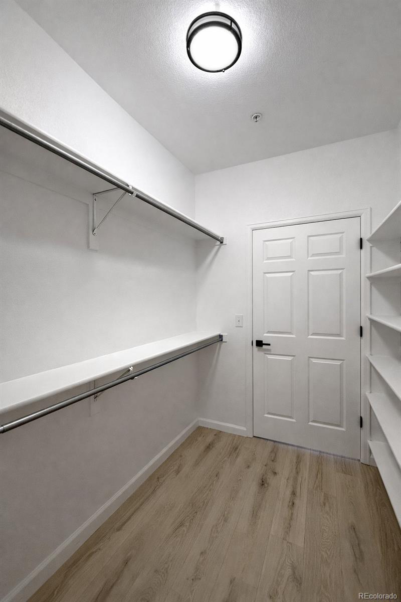 MLS Image #13 for 494  black feather loop,castle rock, Colorado