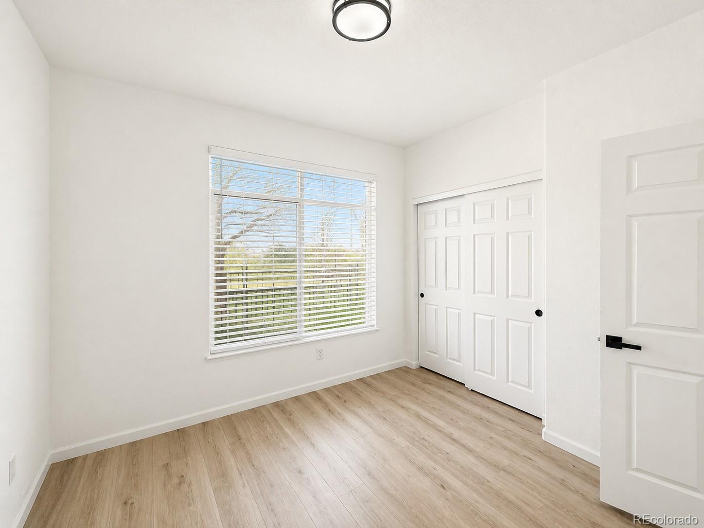 MLS Image #7 for 494  black feather loop,castle rock, Colorado