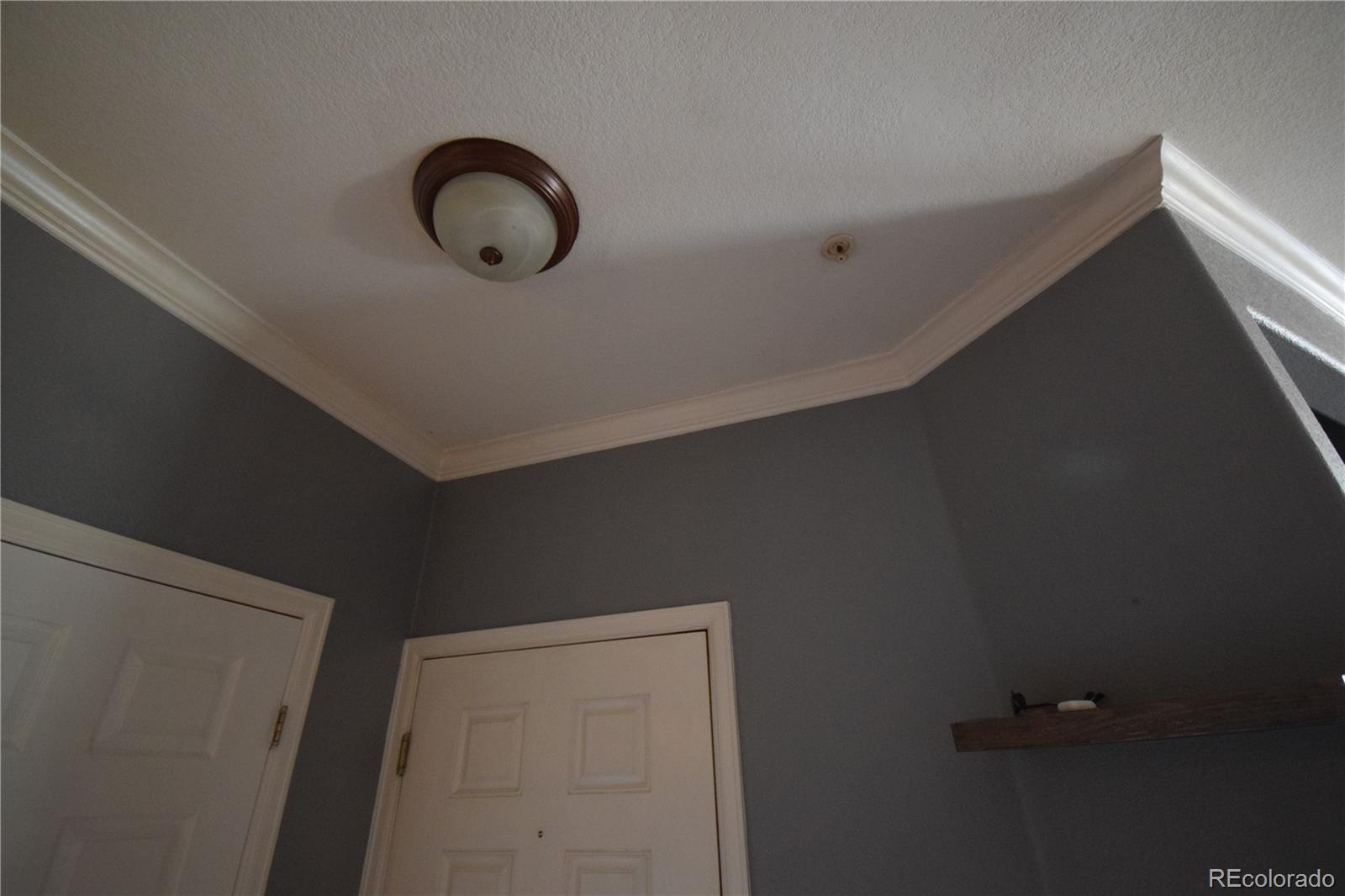 MLS Image #19 for 2875  blue sky circle,erie, Colorado