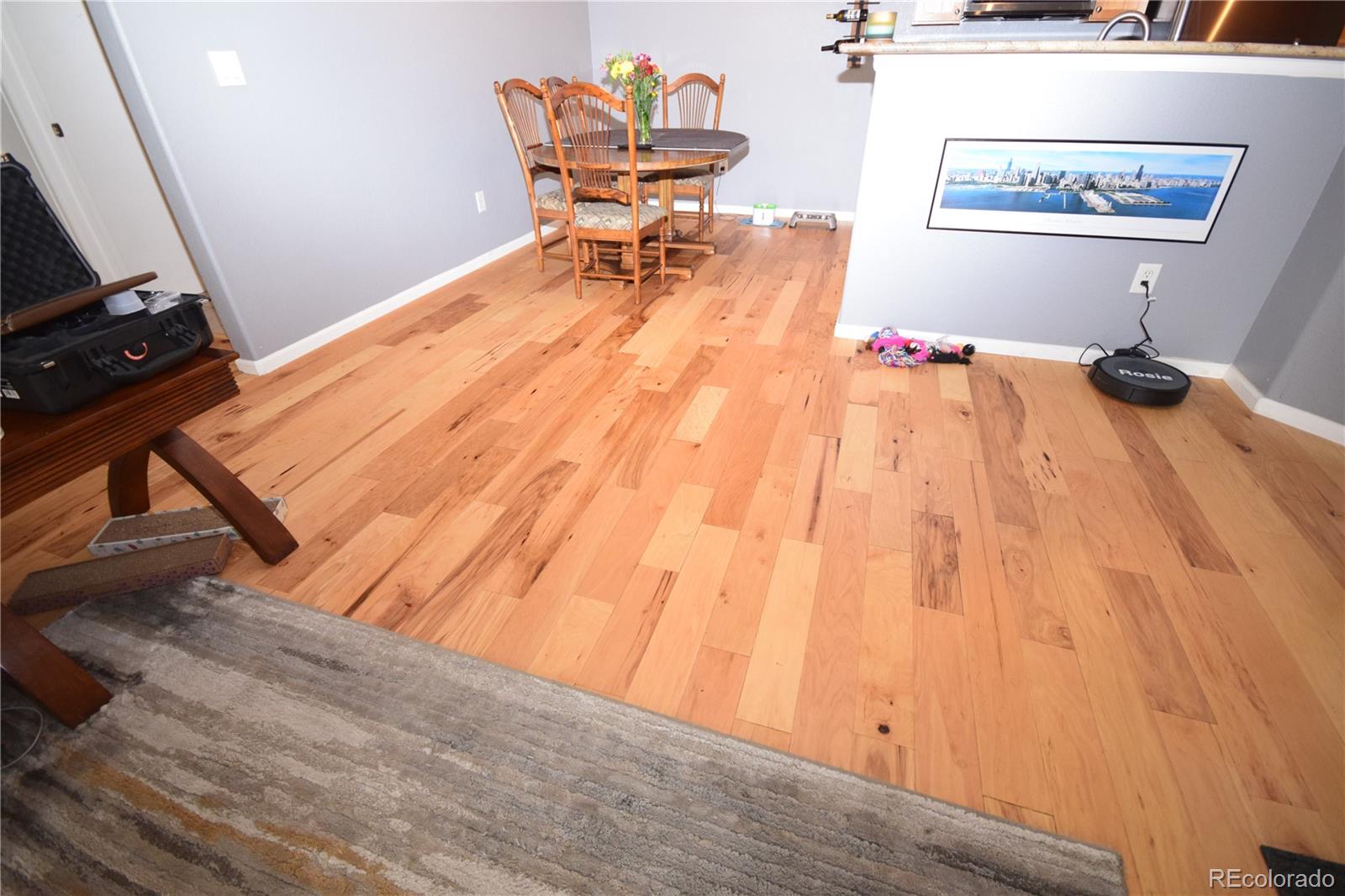 MLS Image #9 for 2875  blue sky circle,erie, Colorado