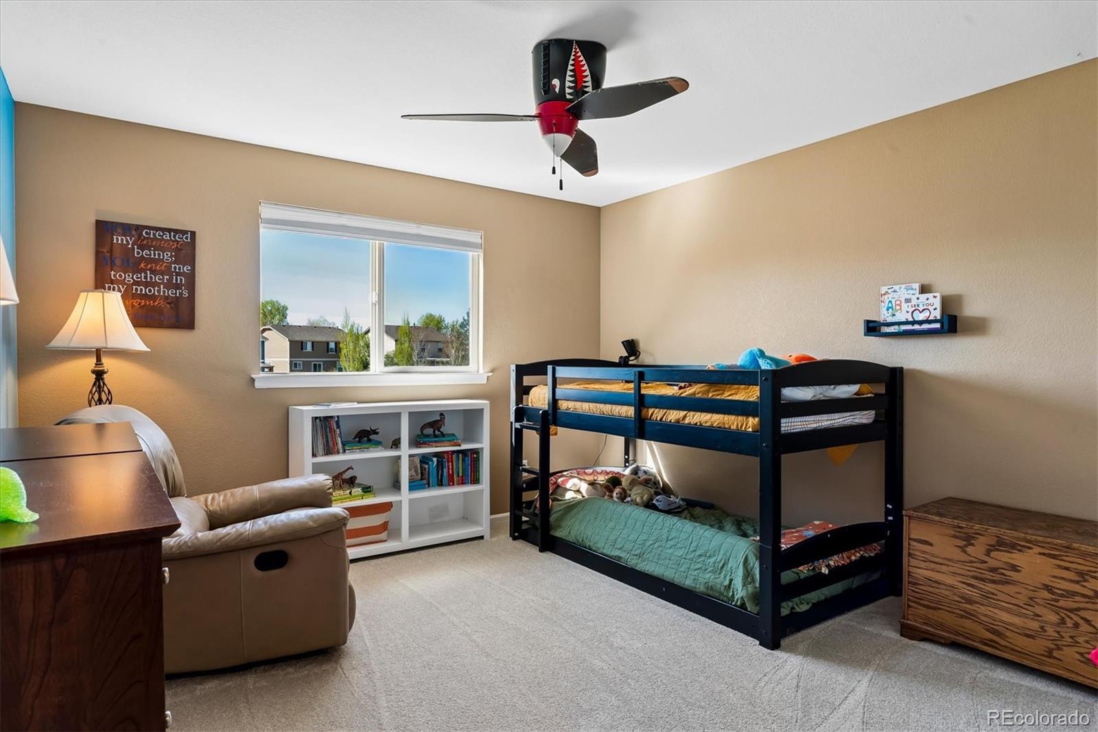 MLS Image #23 for 6284  brantly avenue,castle rock, Colorado