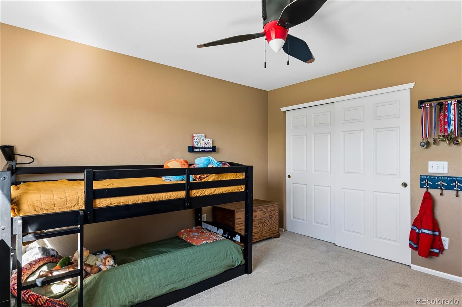 MLS Image #24 for 6284  brantly avenue,castle rock, Colorado