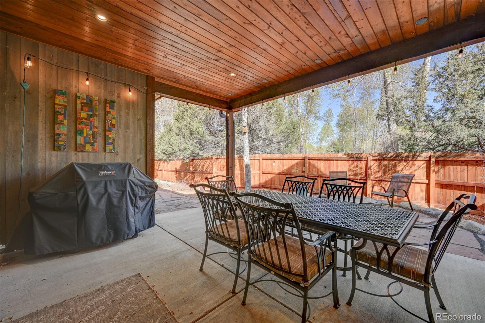 MLS Image #20 for 116  meadow lane,buena vista, Colorado