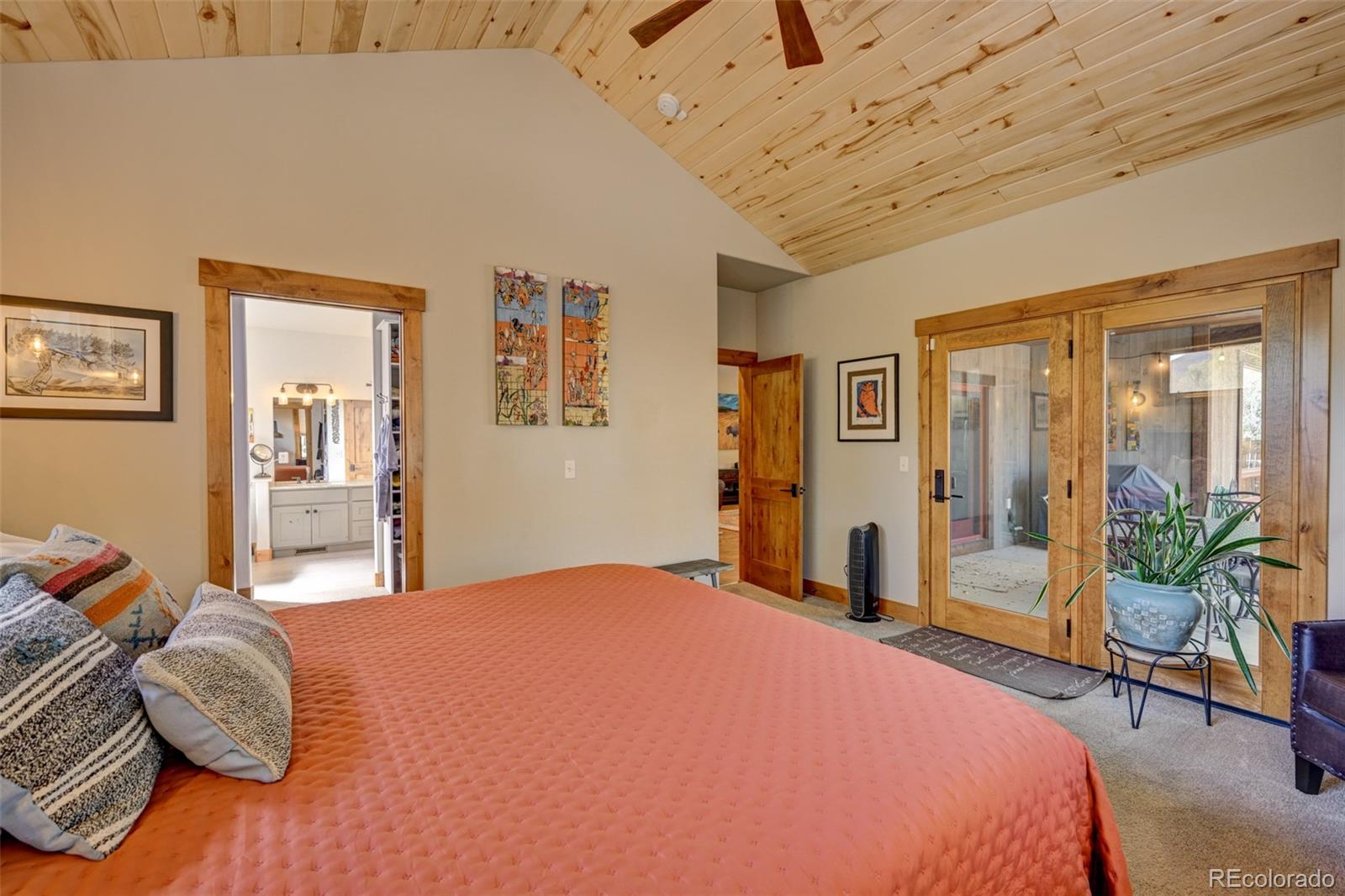 MLS Image #29 for 116  meadow lane,buena vista, Colorado