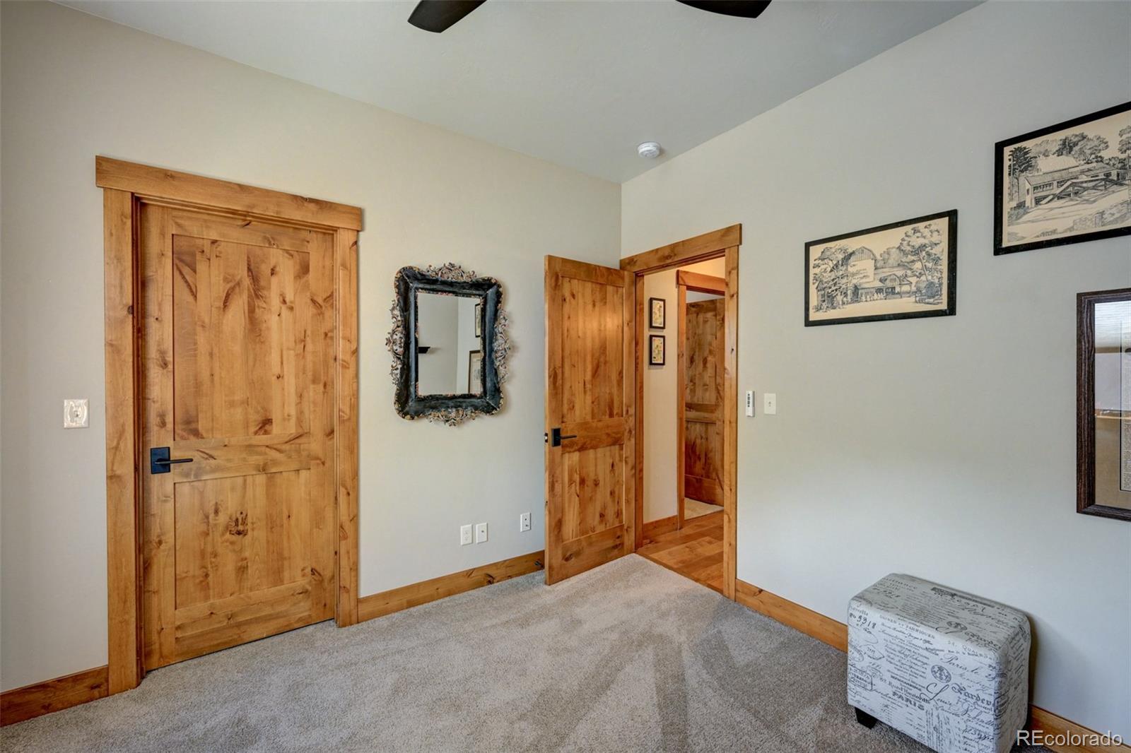 MLS Image #44 for 116  meadow lane,buena vista, Colorado