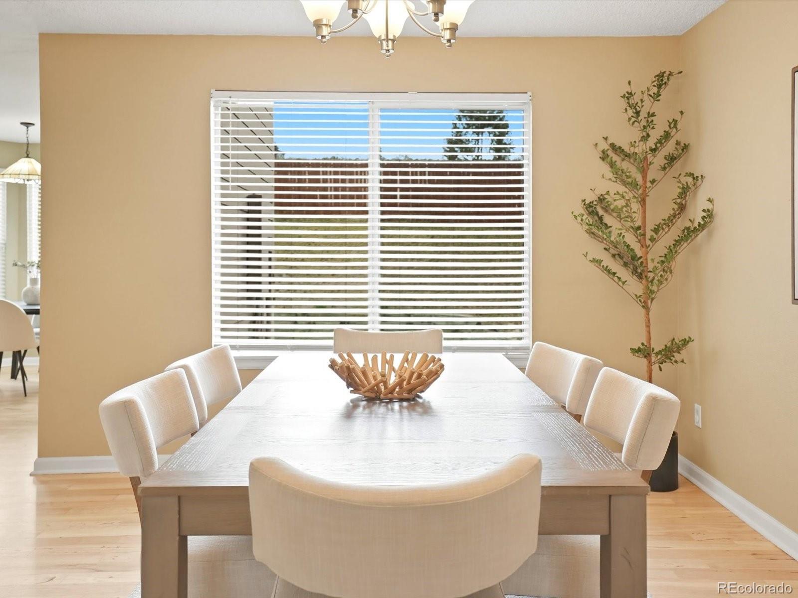 MLS Image #10 for 6429  devinney street,arvada, Colorado