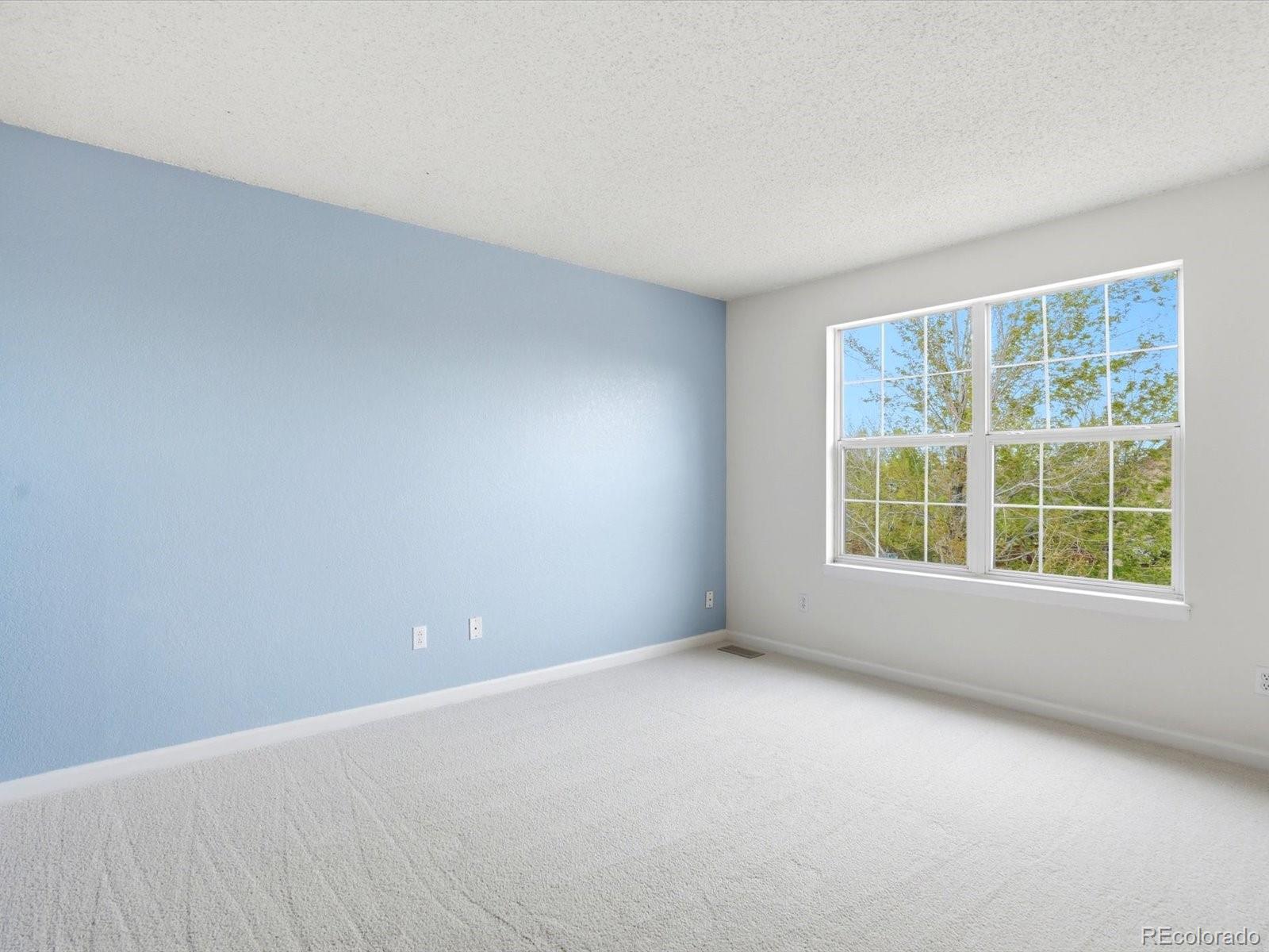 MLS Image #36 for 6429  devinney street,arvada, Colorado