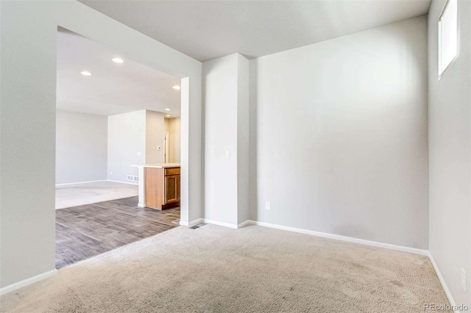 MLS Image #19 for 4709  helena street,denver, Colorado
