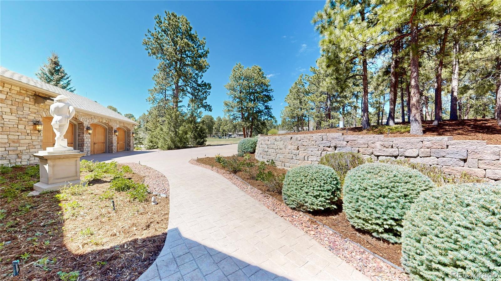 MLS Image #6 for 425  tam o shanter way,monument, Colorado