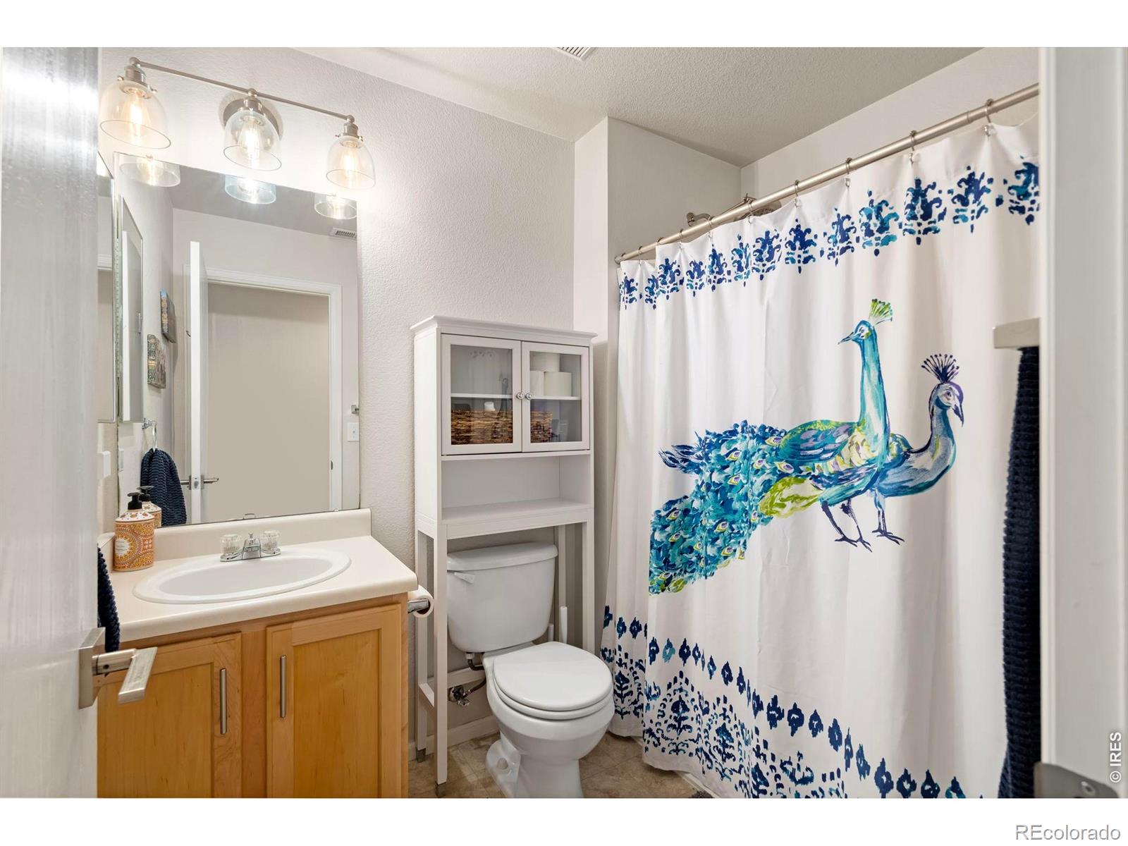 MLS Image #17 for 6969  rosemont court,fort collins, Colorado
